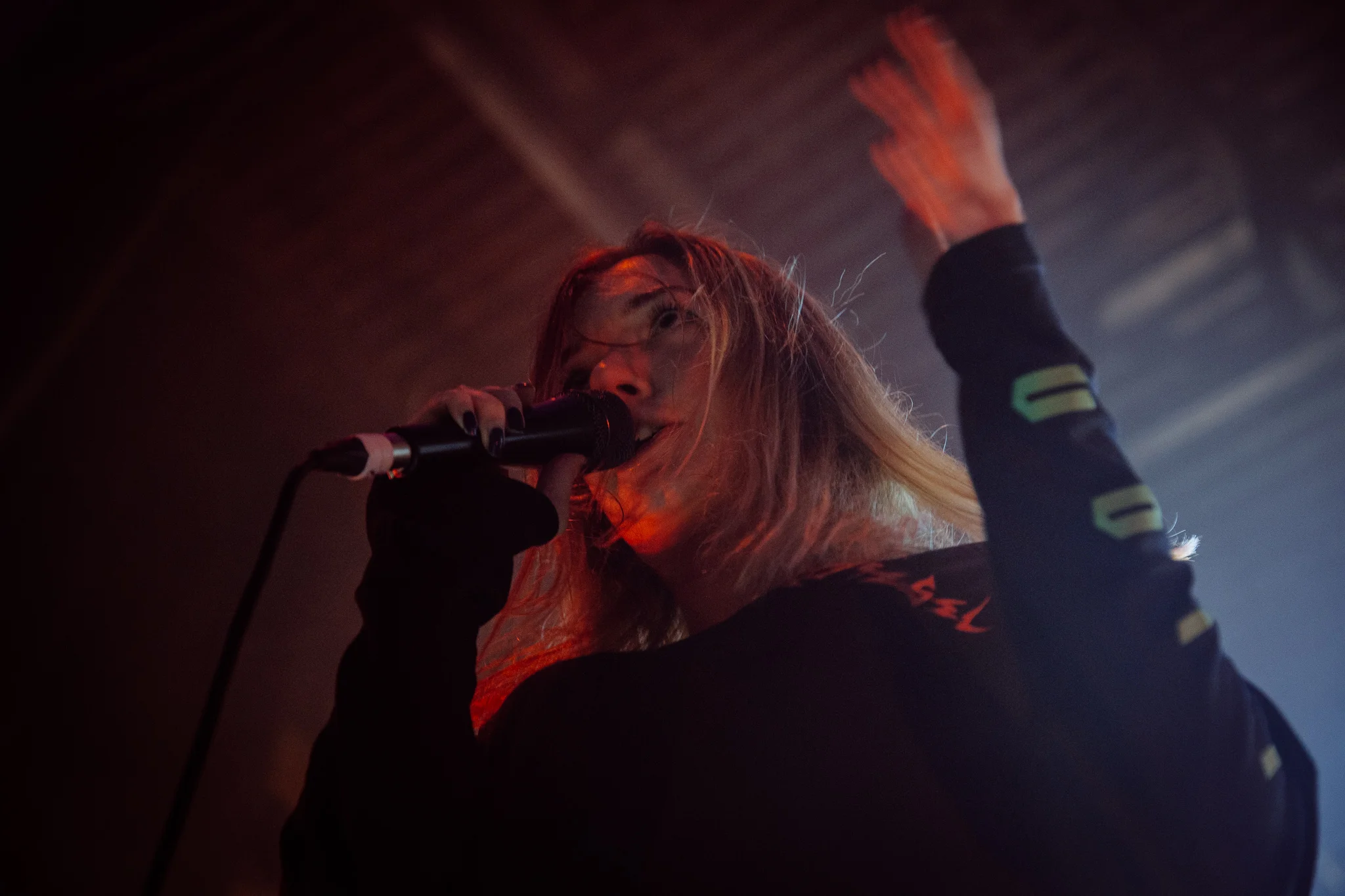 Marmozets-6.jpg