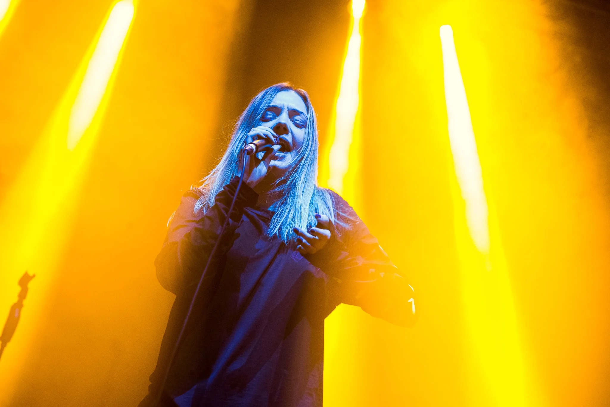Marmozets-7.jpg