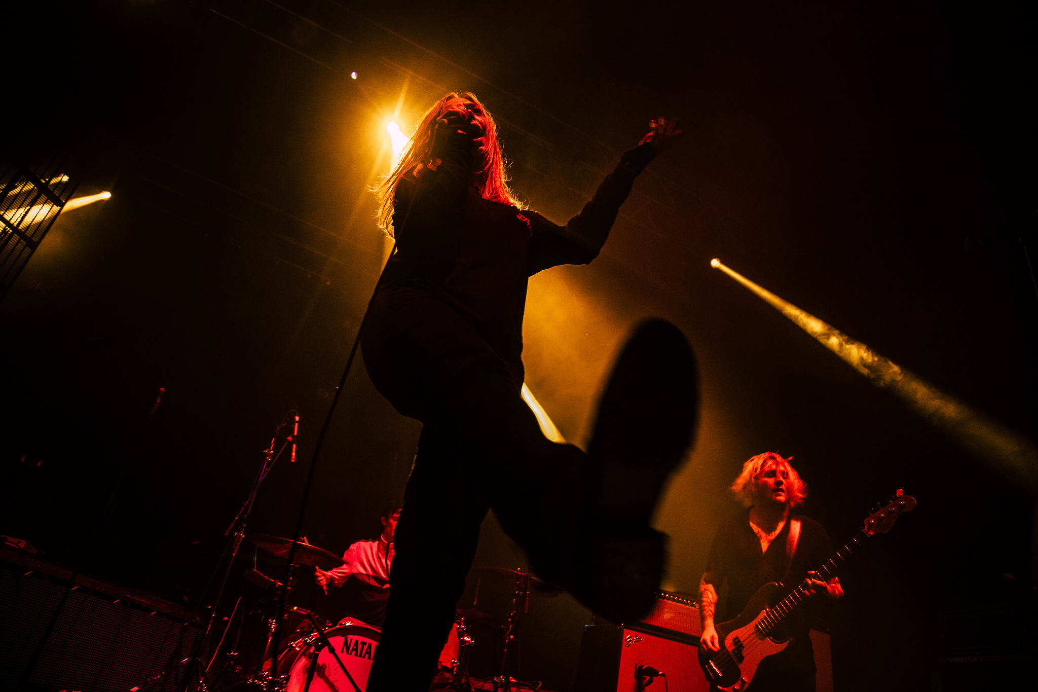 Marmozets-9.jpg