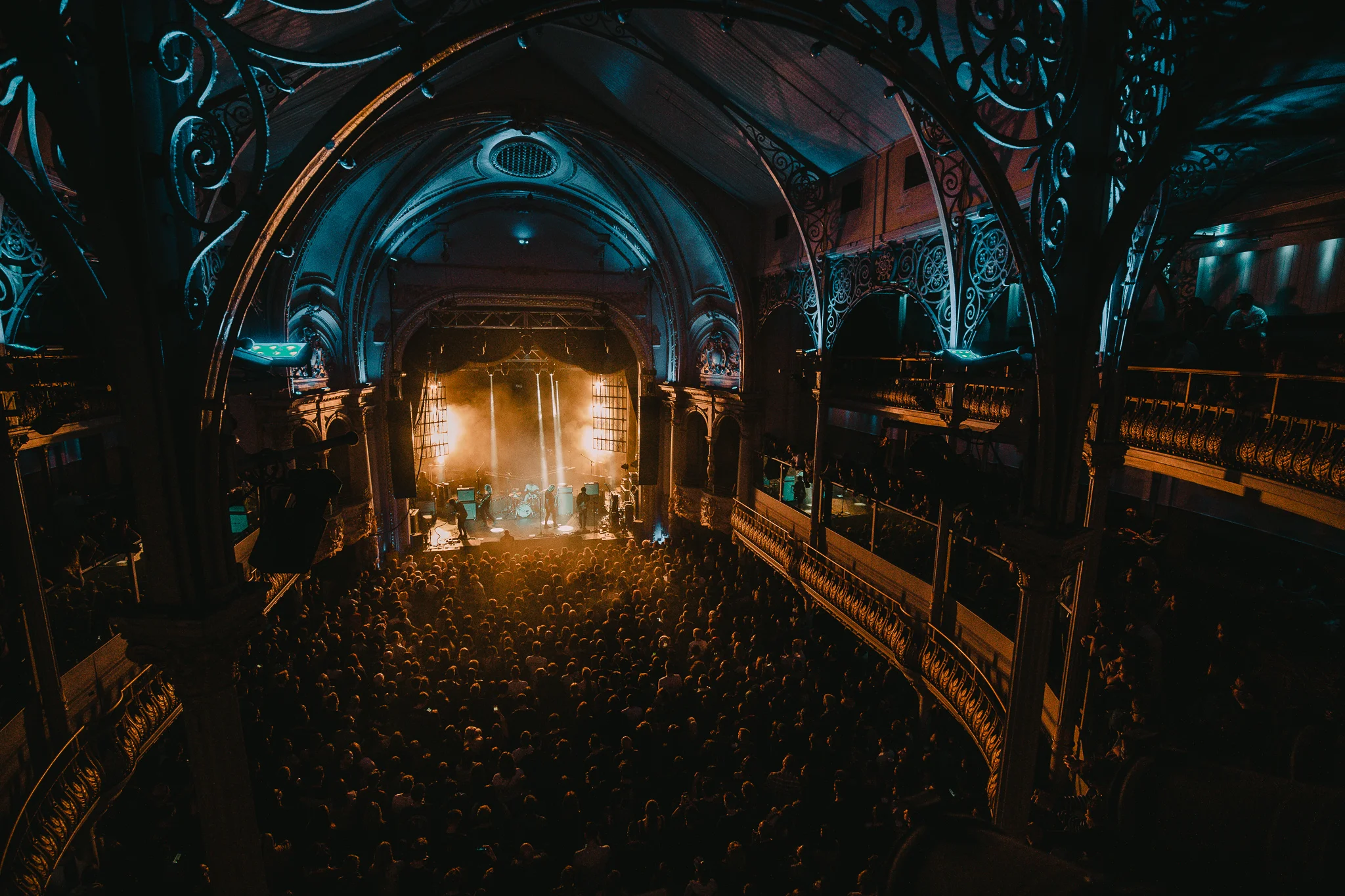 Marmozets-10.jpg
