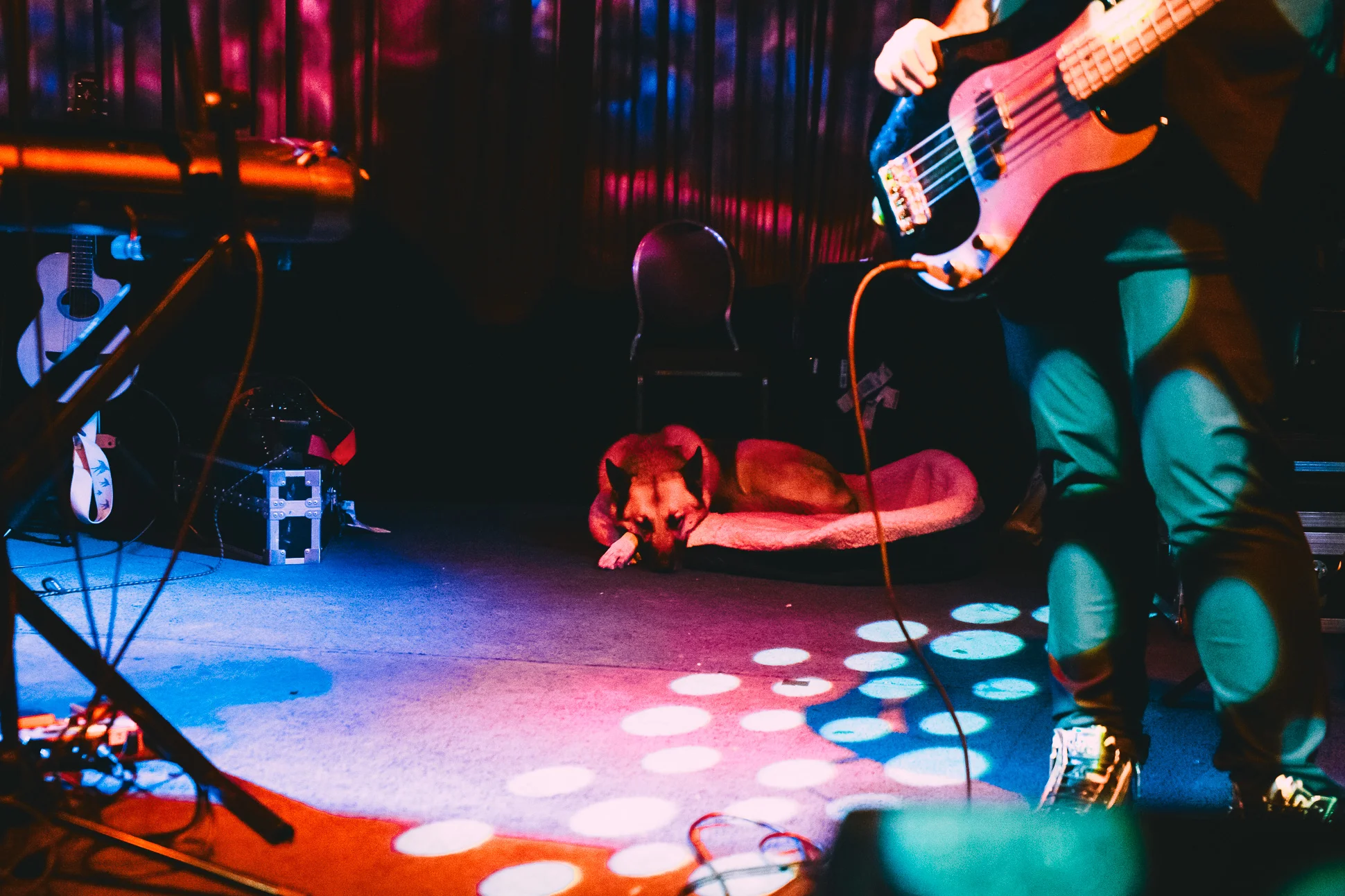 ConnerYoungblood-FoxCabaret-08-12-2018-Vancouver-05.jpg