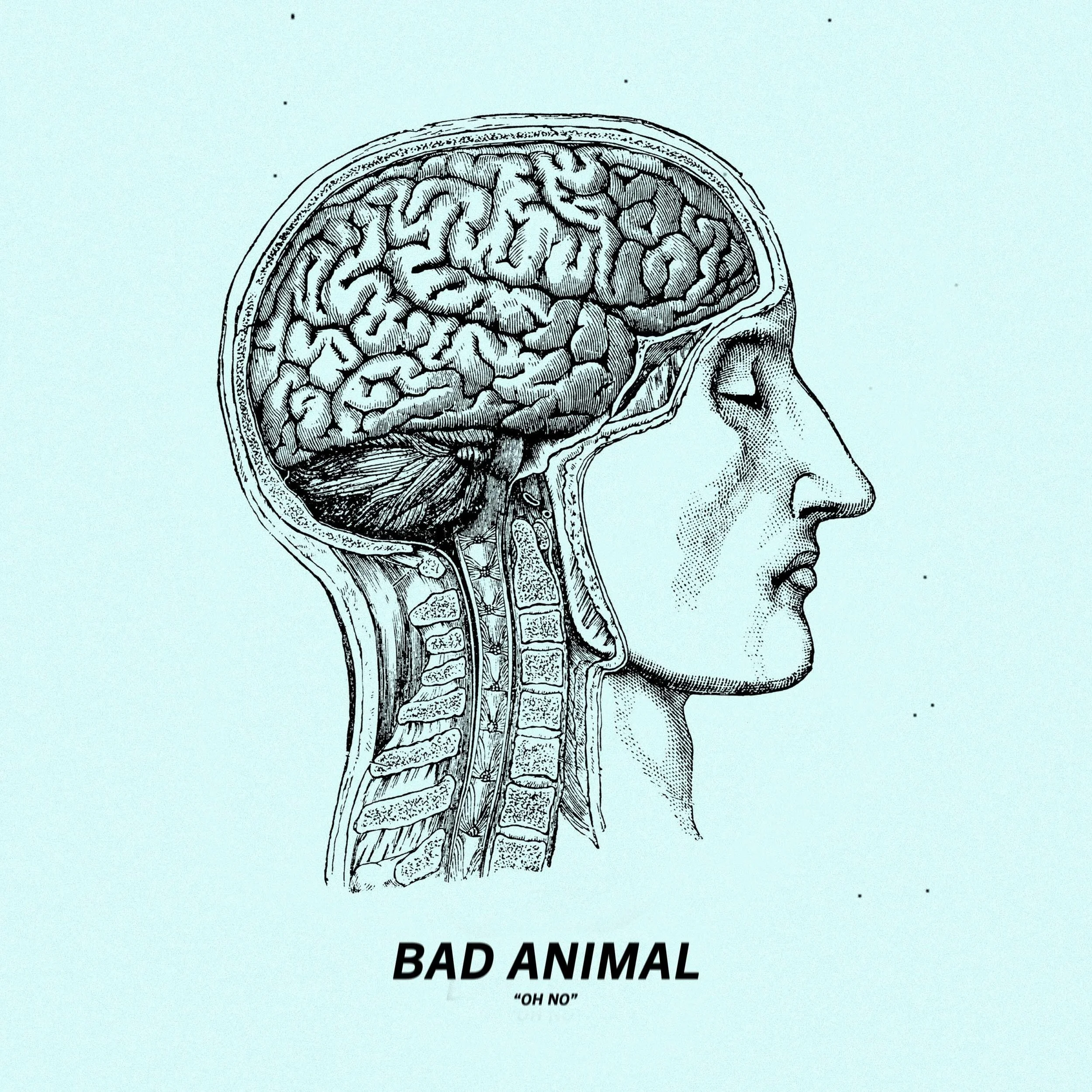 Bad Animal  - 'Oh No'