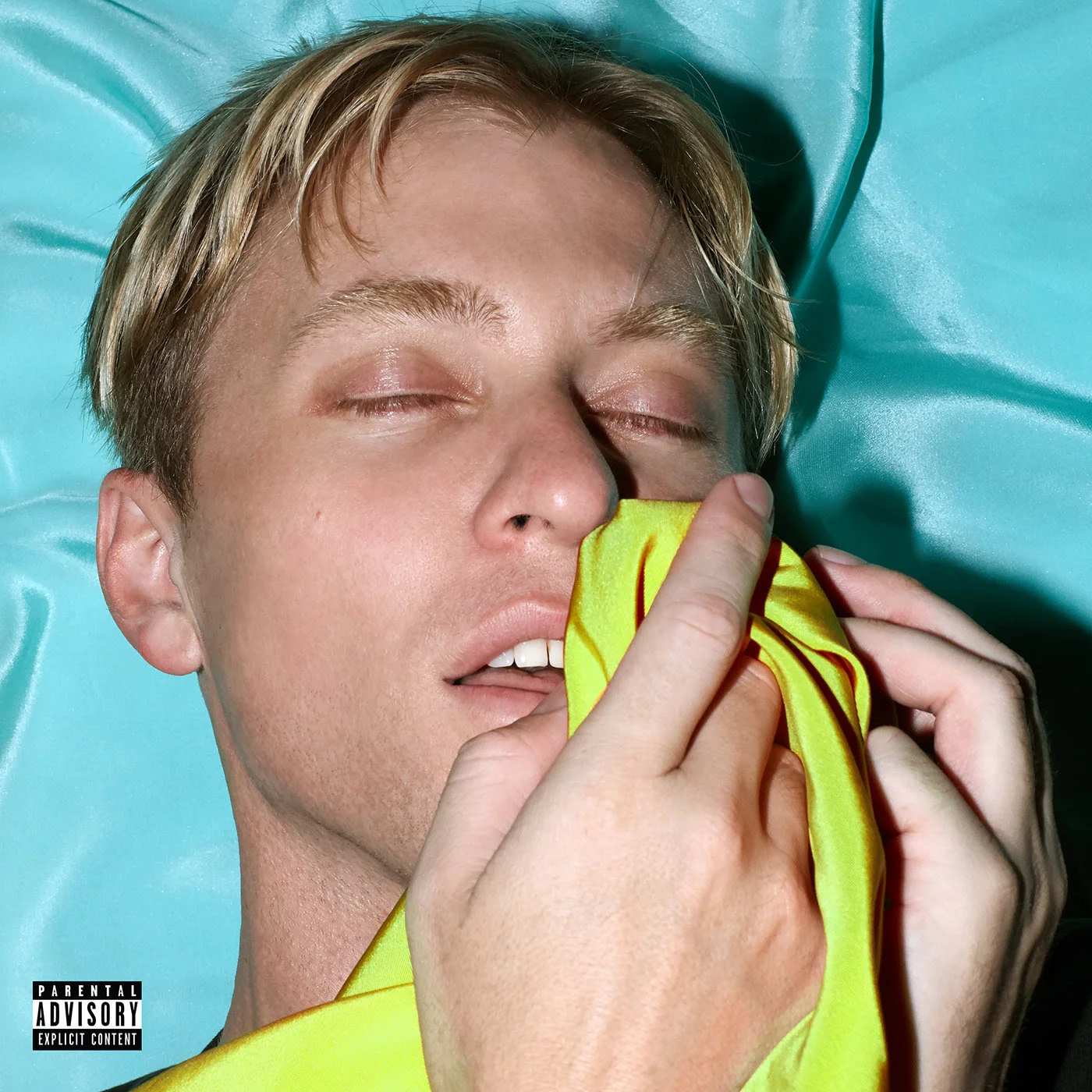 Album Review: The Drums - 'Brutalism'