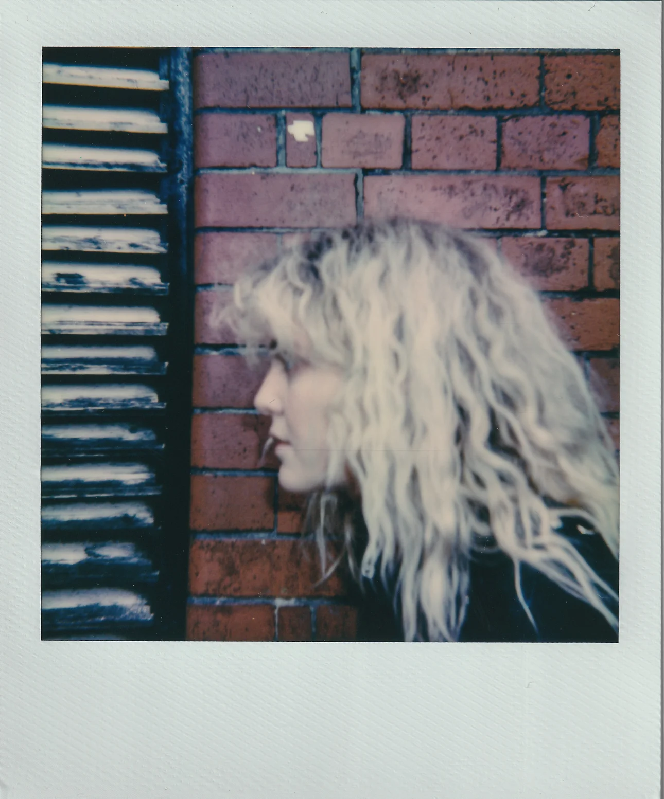 Lion Polaroid - Ant Adams - TGE 2019-1.jpg