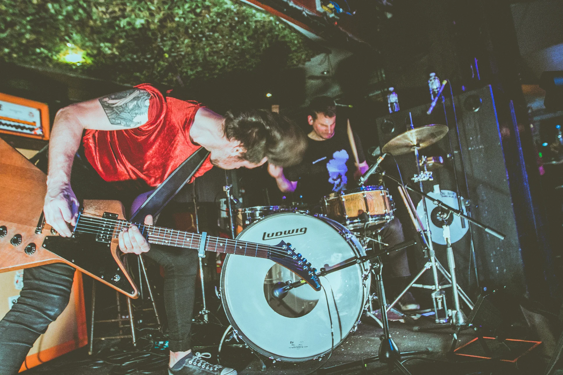 Haggard Cat - TGE 2019 - Ant Adams-7.jpg