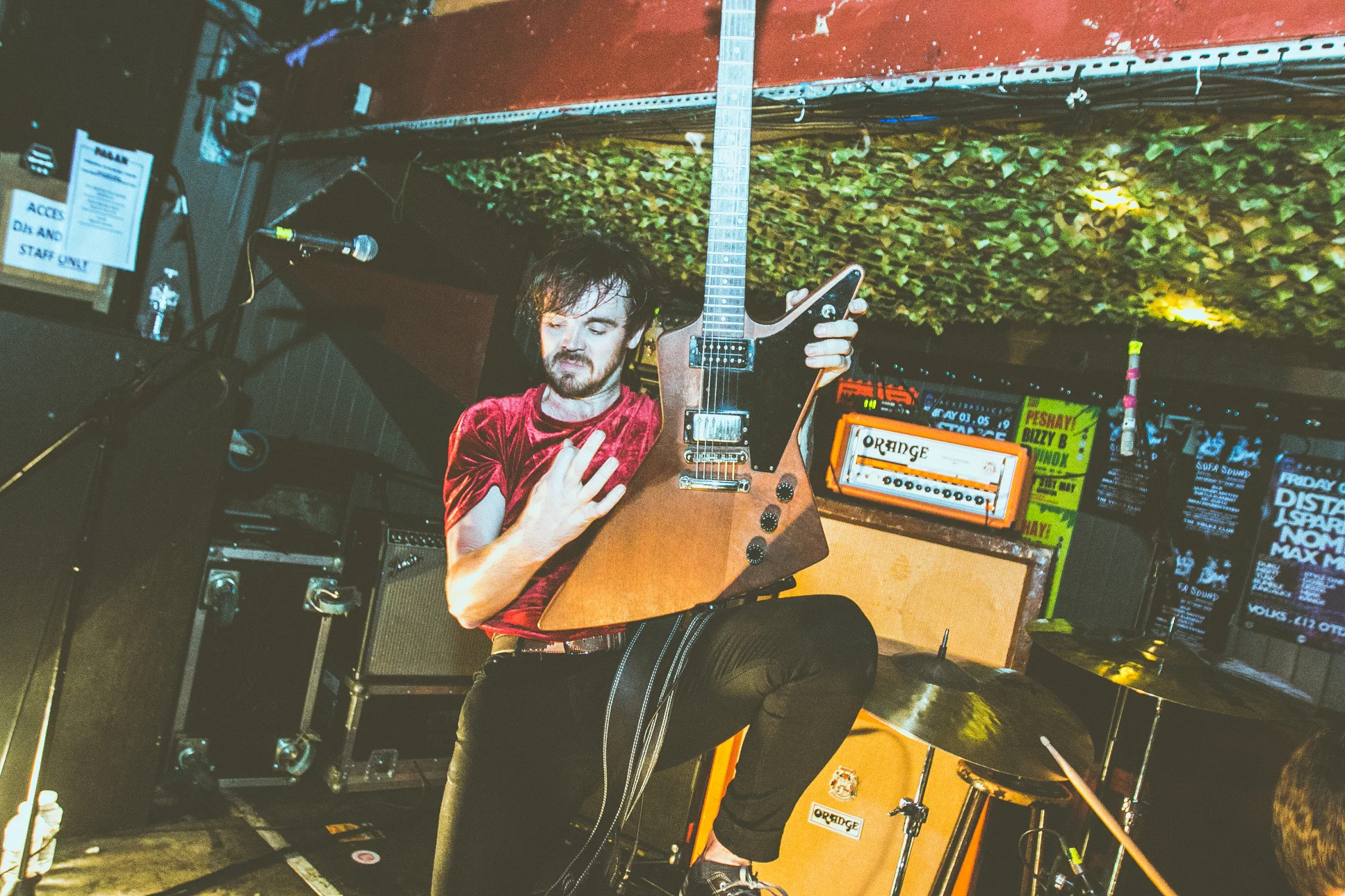 Haggard Cat - TGE 2019 - Ant Adams-27.jpg