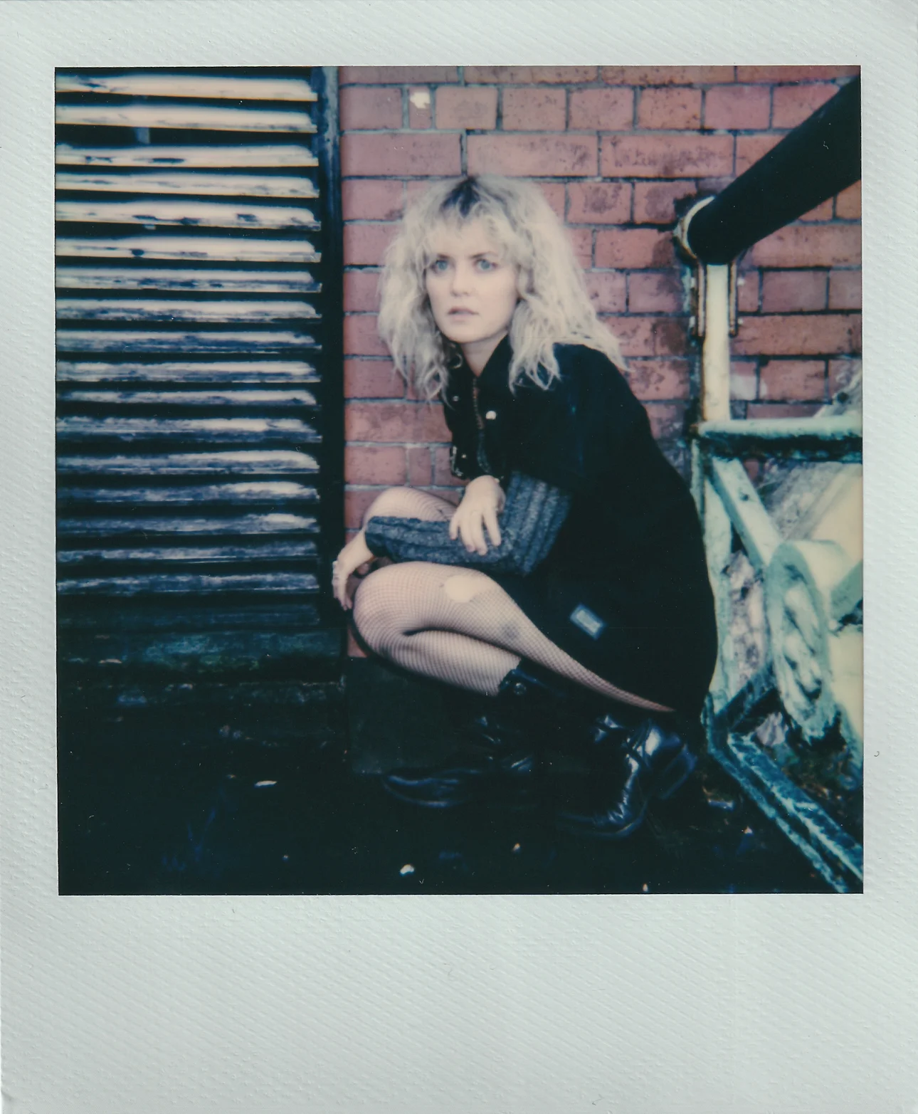 In Conversation With: LION
