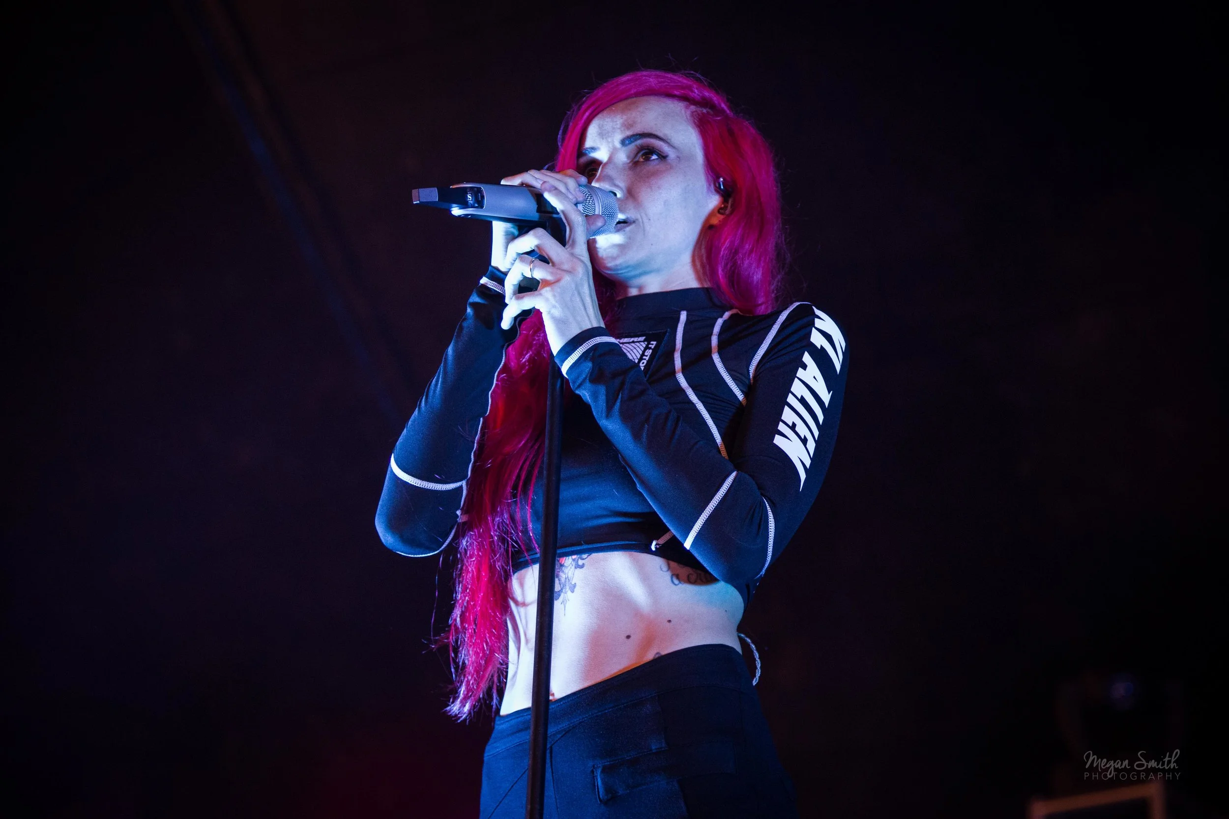 Lights-2664.jpg