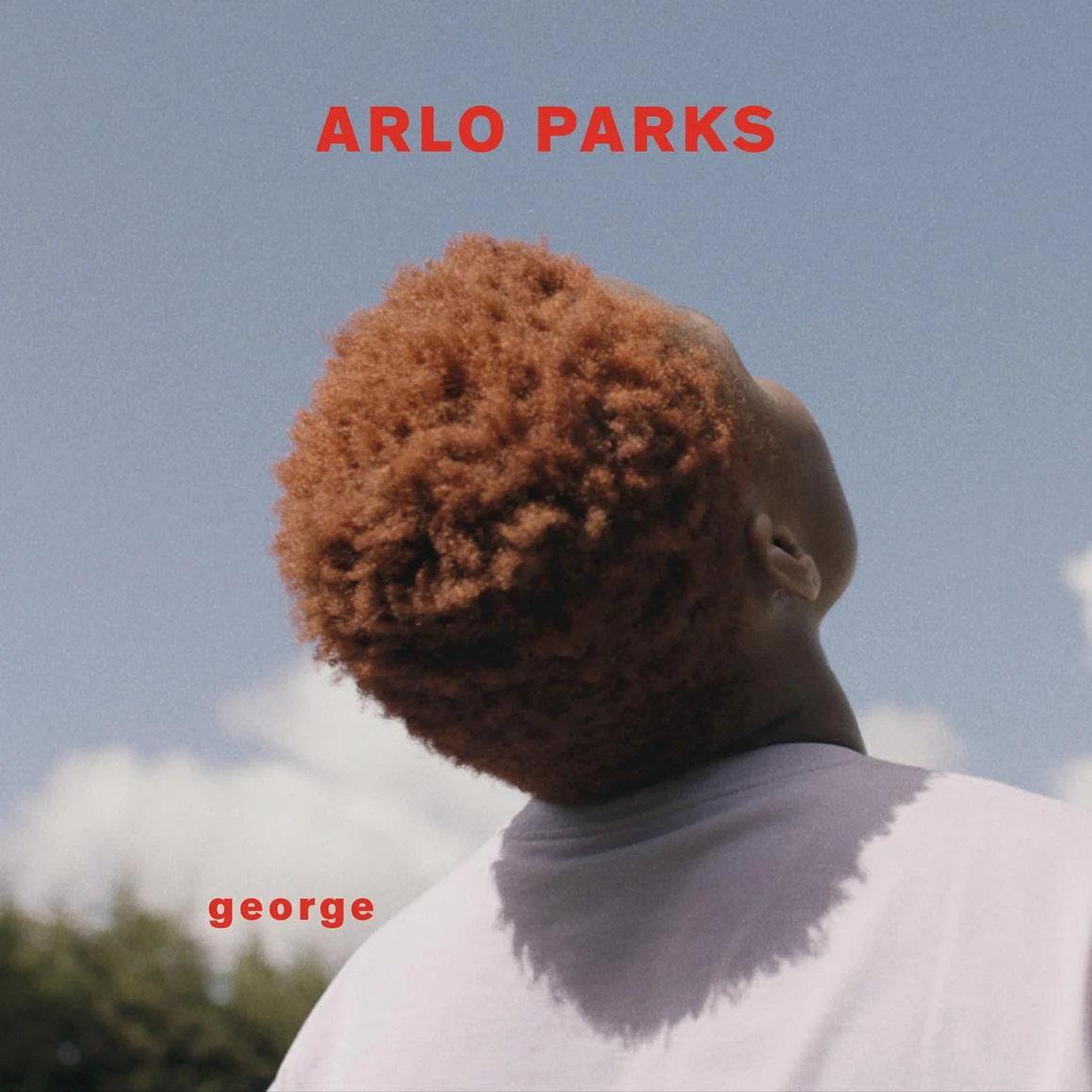 Arlo Parks - 'george'