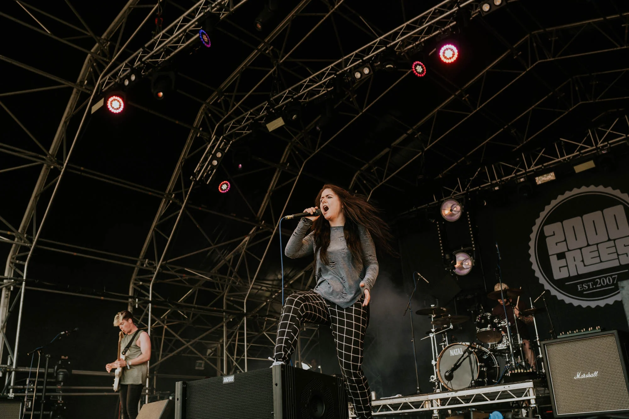 Dream State - 2000 Trees-5.jpg