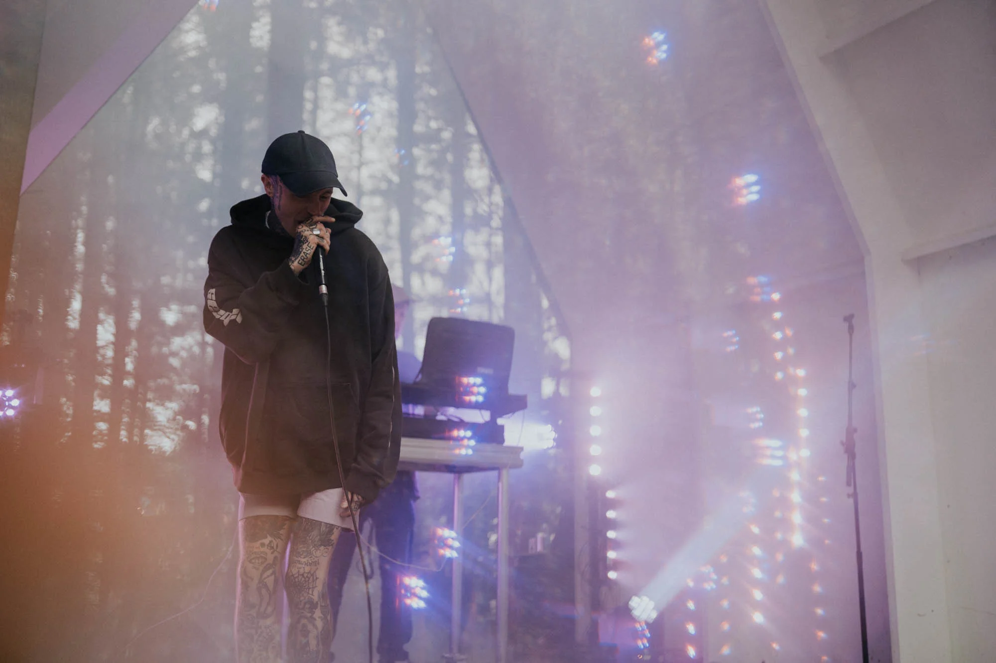 Sullii - 2000 Trees-1.jpg