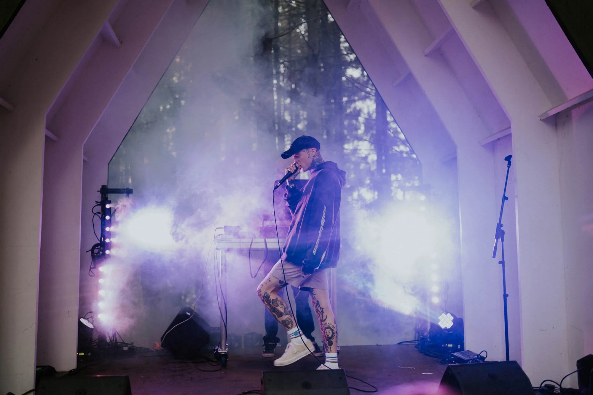 Sullii - 2000 Trees-2.jpg