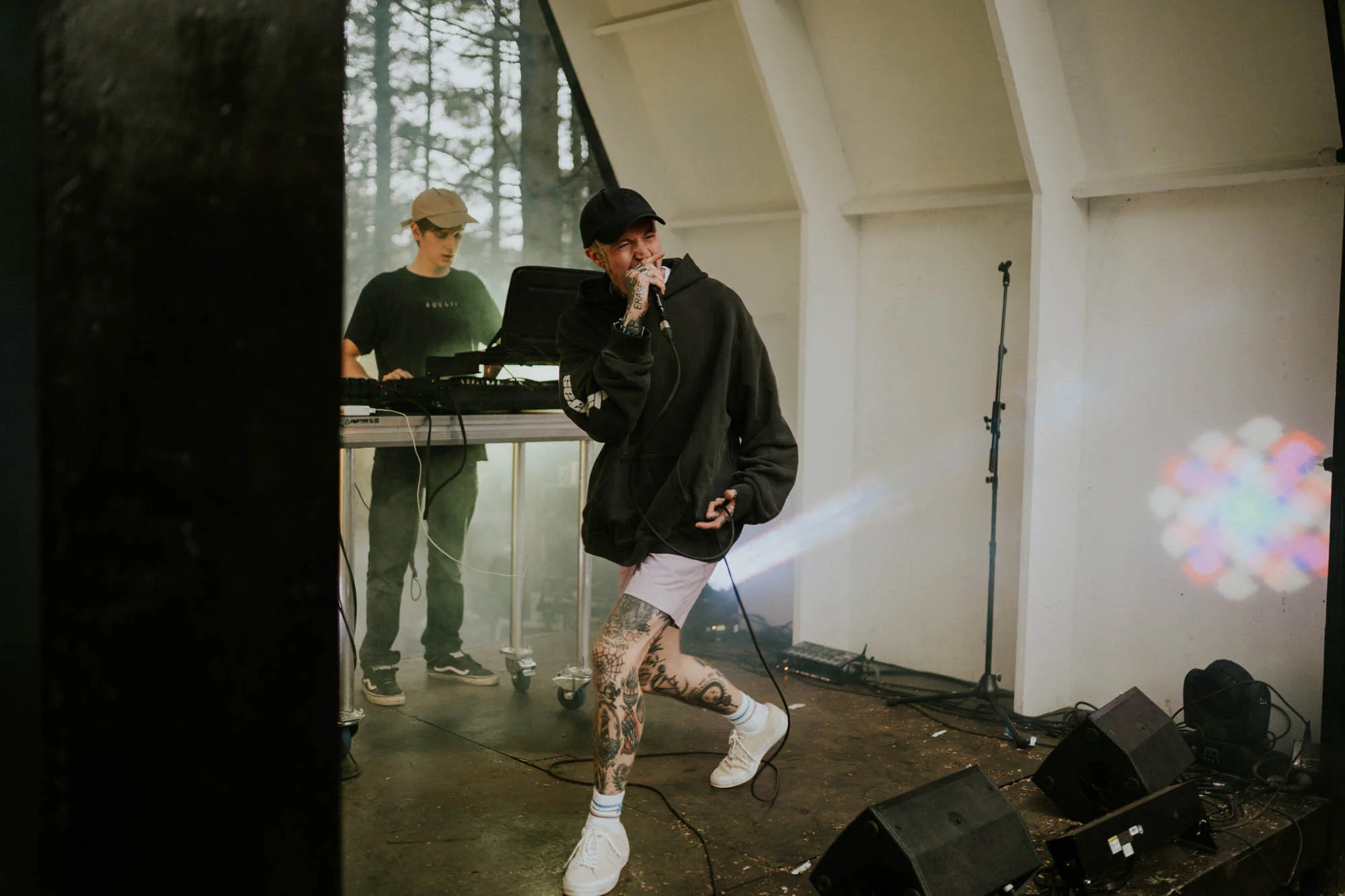 Sullii - 2000 Trees-3.jpg