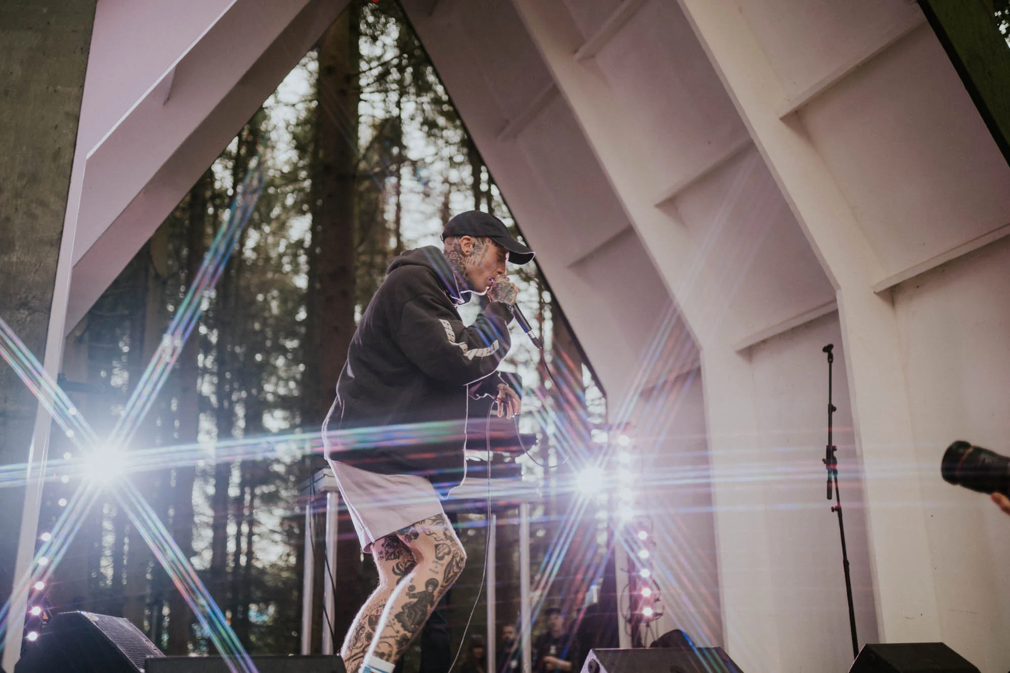 Sullii - 2000 Trees-4.jpg