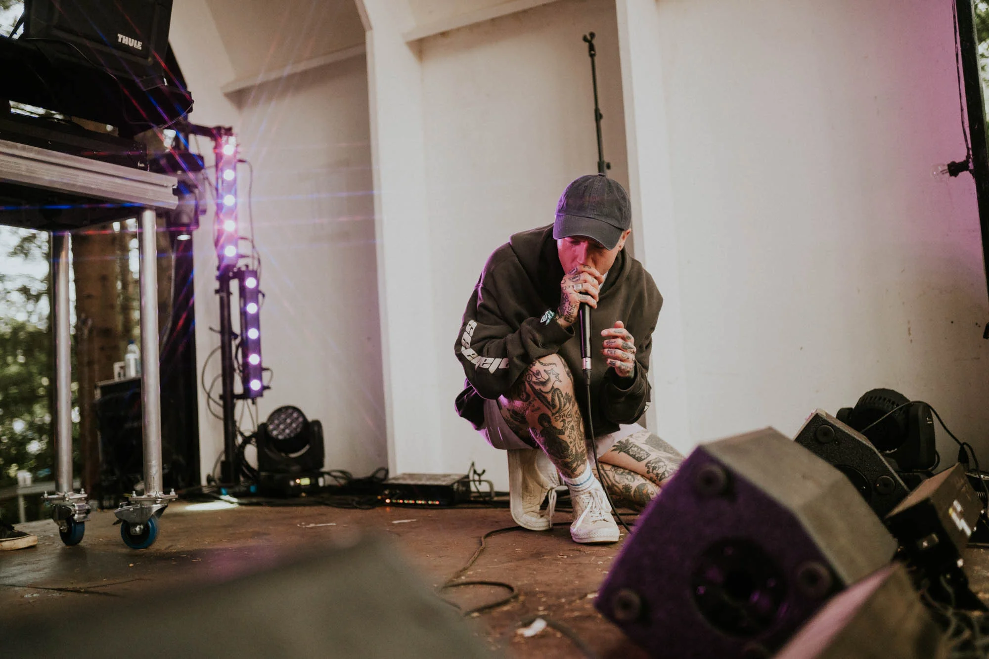Sullii - 2000 Trees-5.jpg
