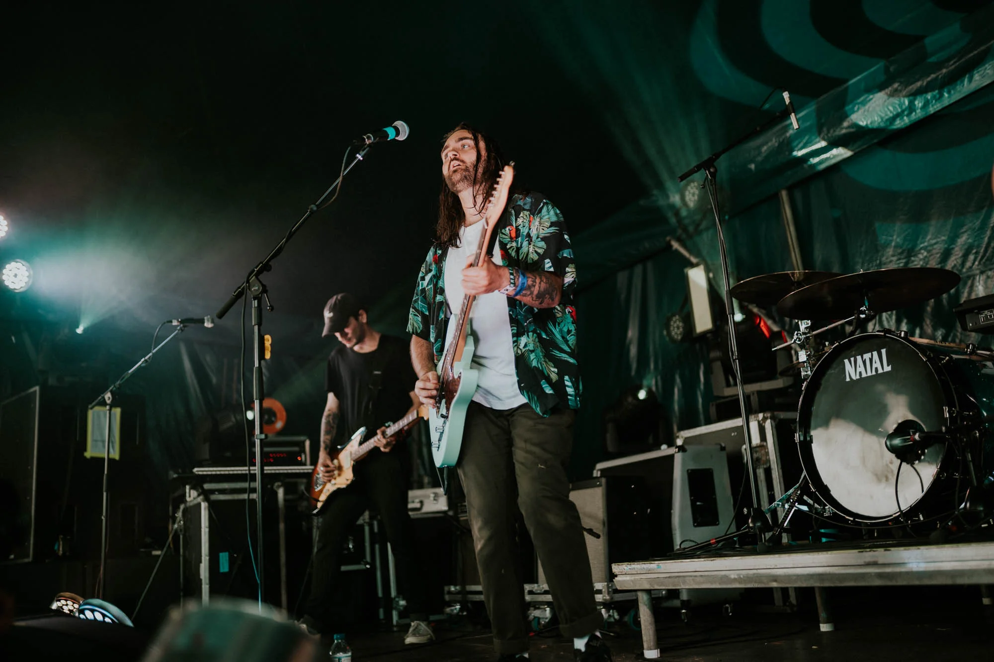 Wallflower - 2000 Trees-2.jpg