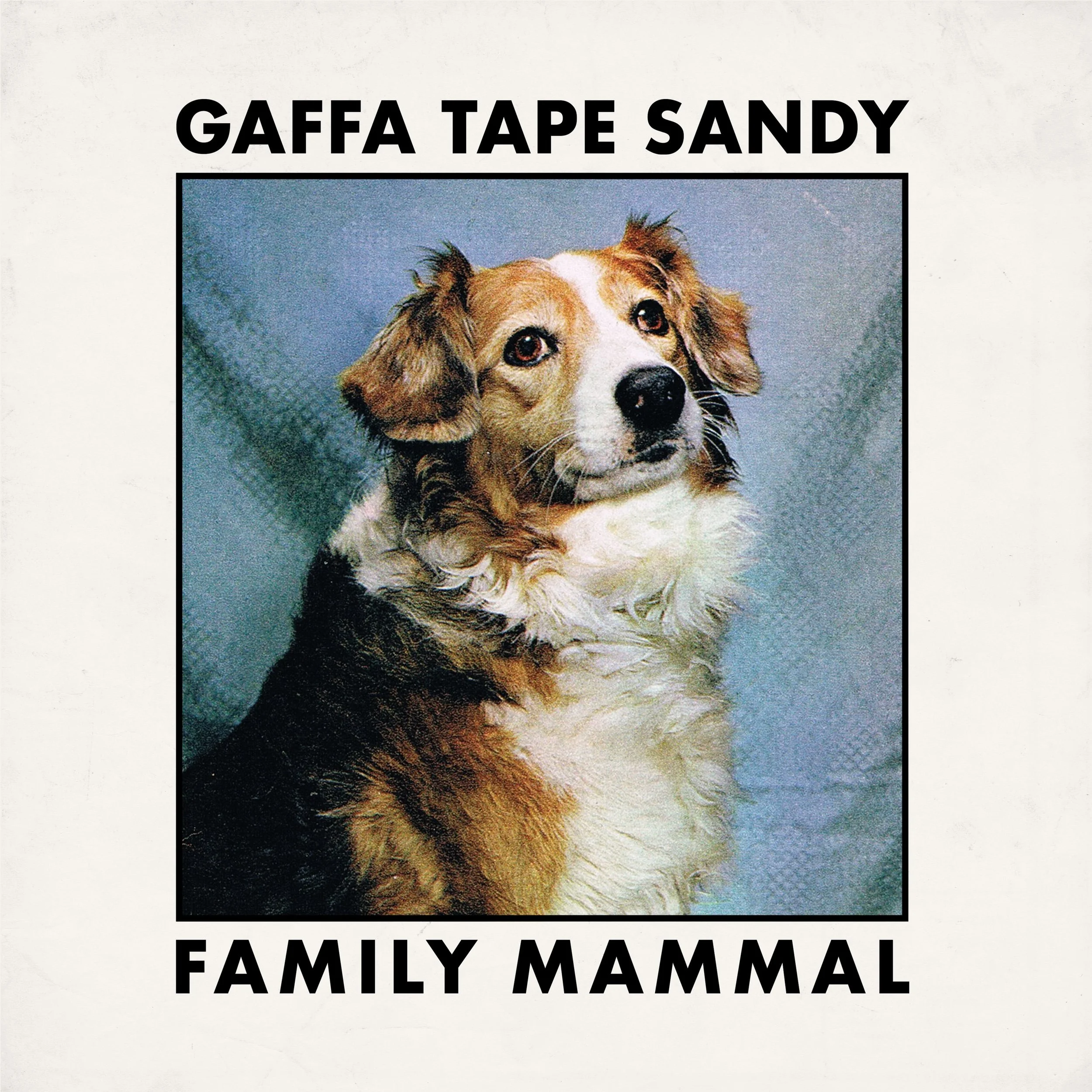 EP Review: Gaffa Tape Sandy - 'Family Mammal'