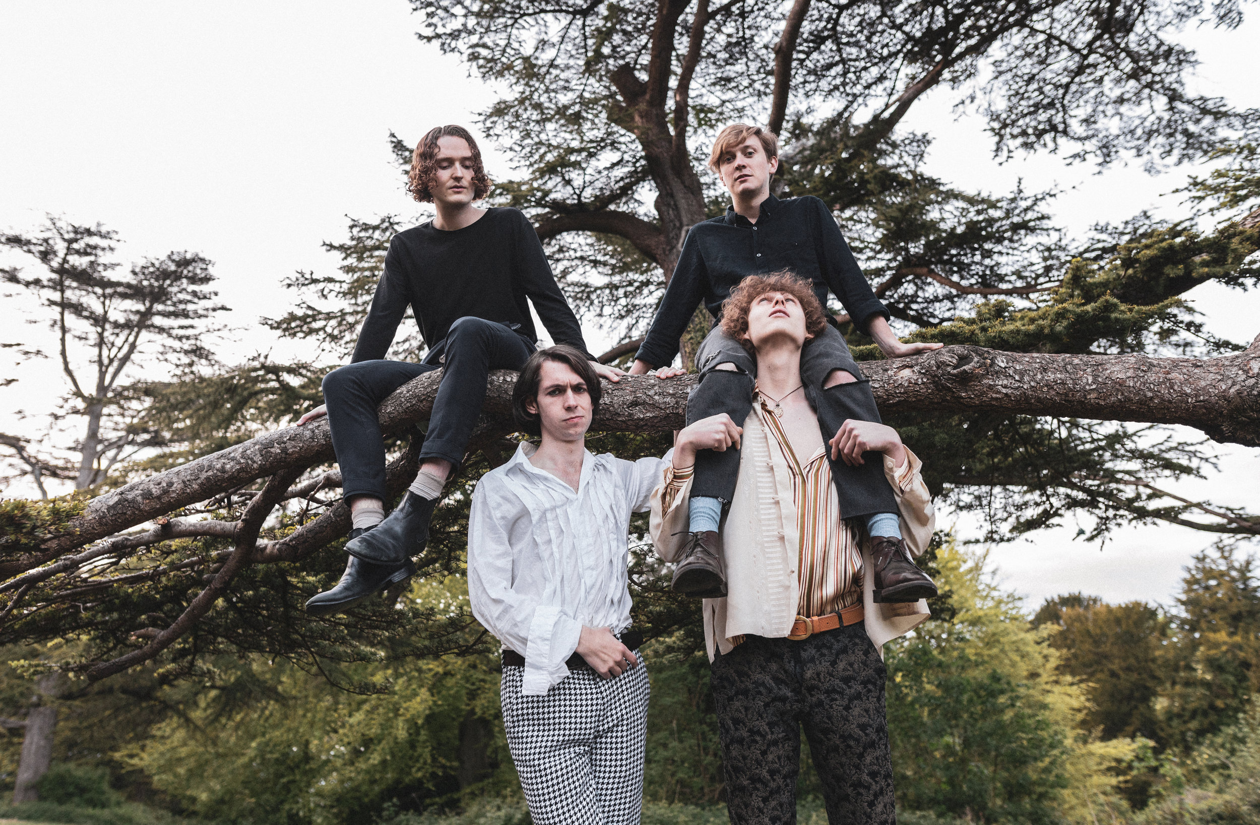 Album Review: Strange Cages - 'Pop Therapy'