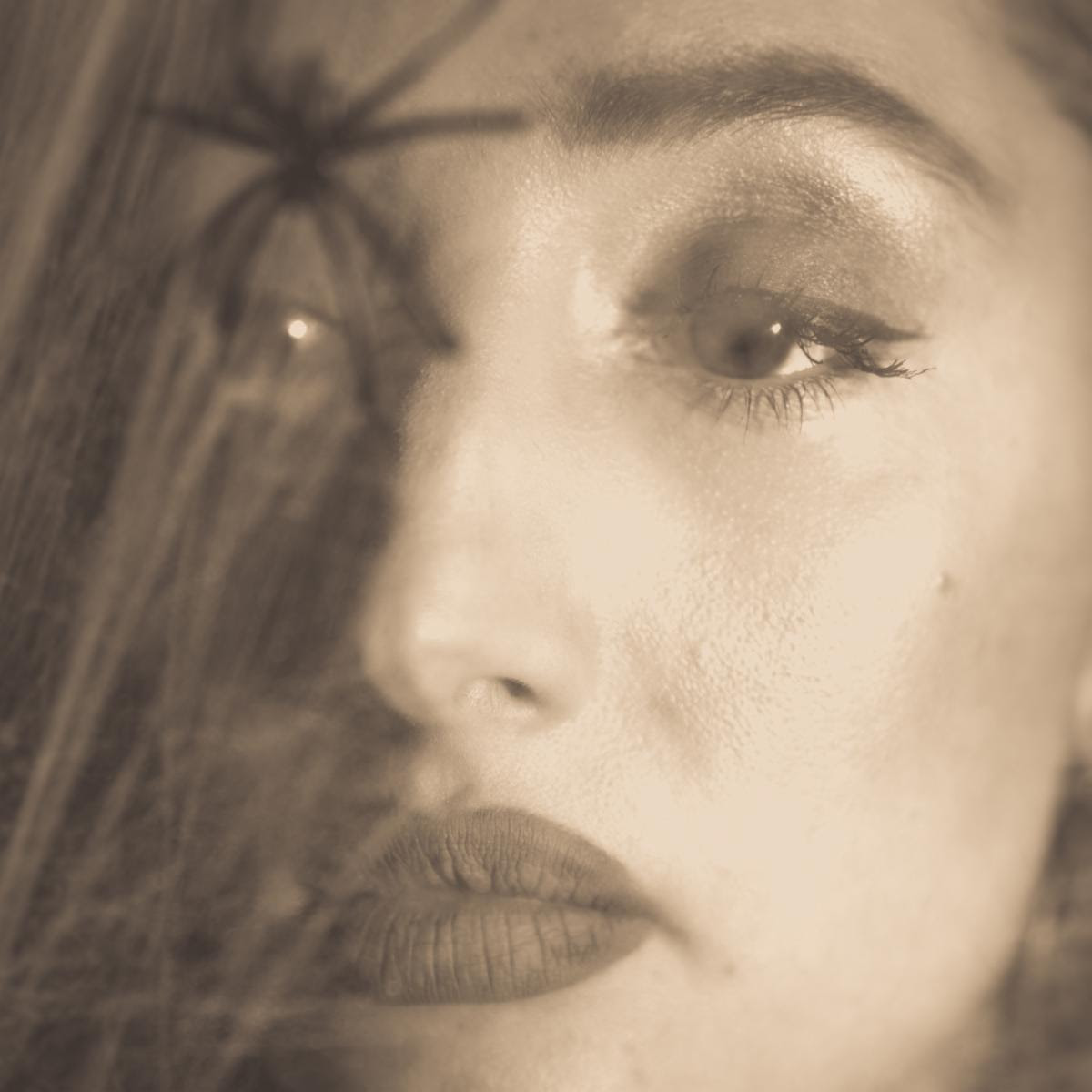 Esbie Fonte: 'Cobwebs'