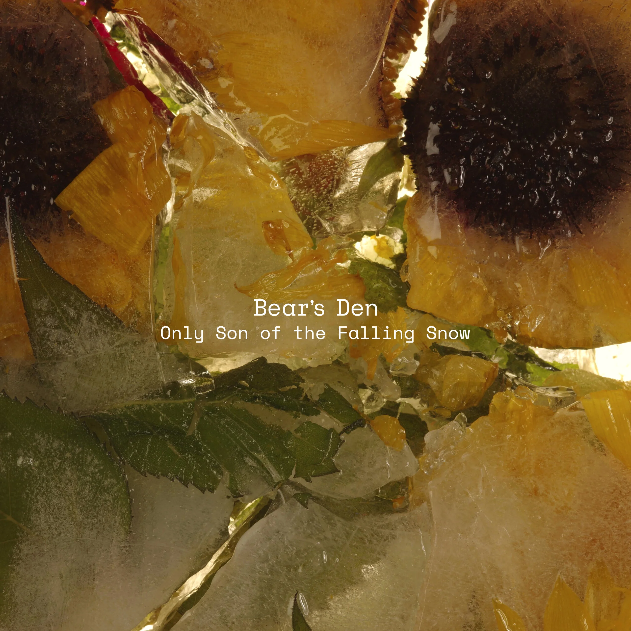EP Review: Bear’s Den – 'Only Son of The Falling Snow'