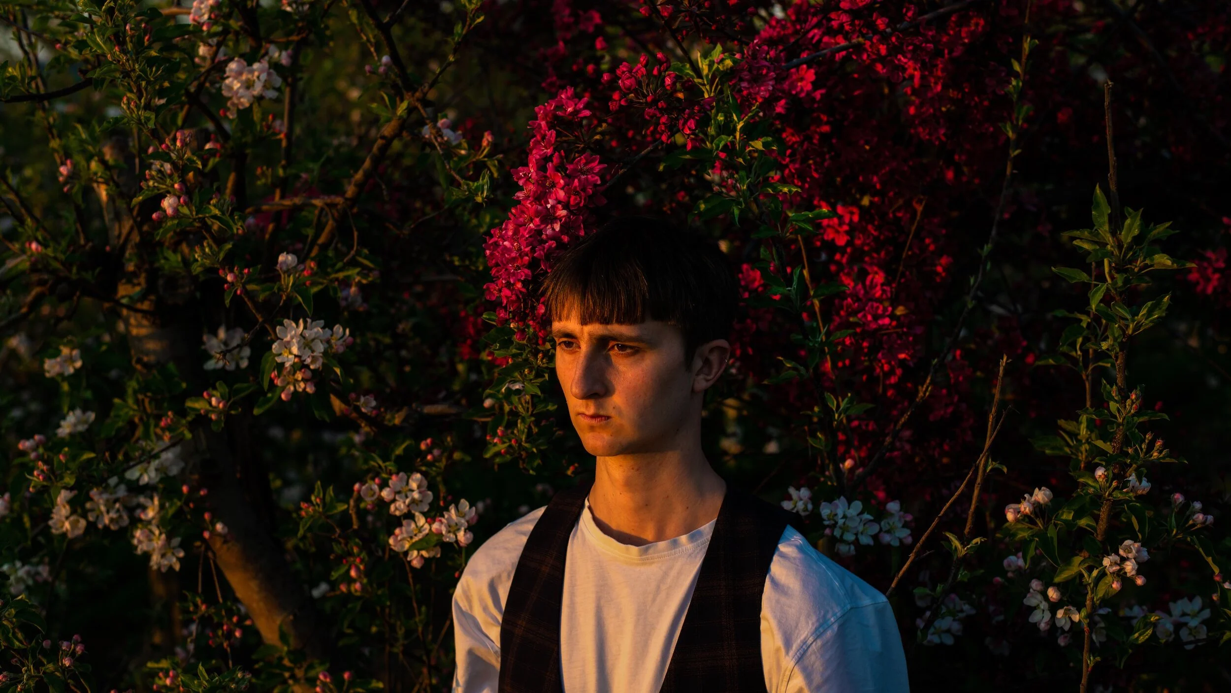Vaughan - 'Out of the Sky'
