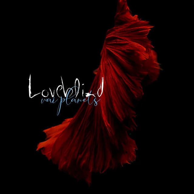 The Band Explains: Loveblind - 'War Planets'