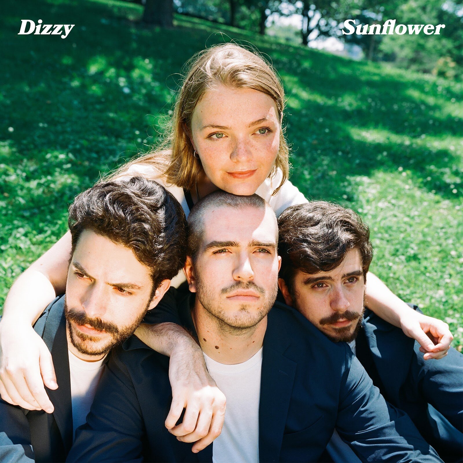 Dizzy - 'Sunflower'