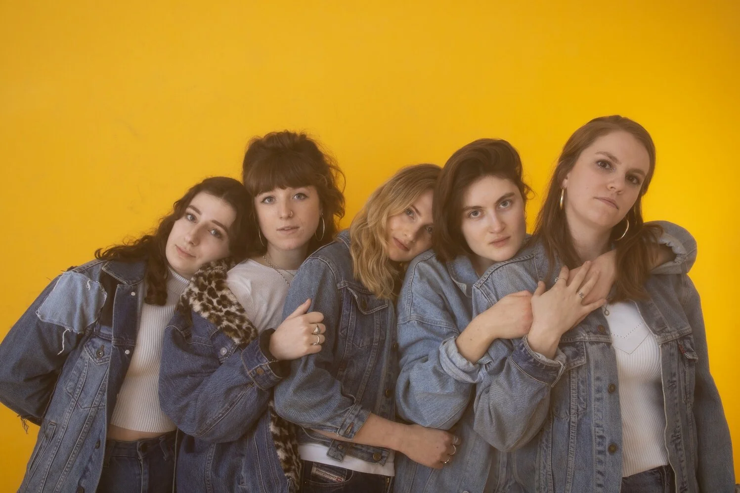 Introducing #117 - Prima Queen