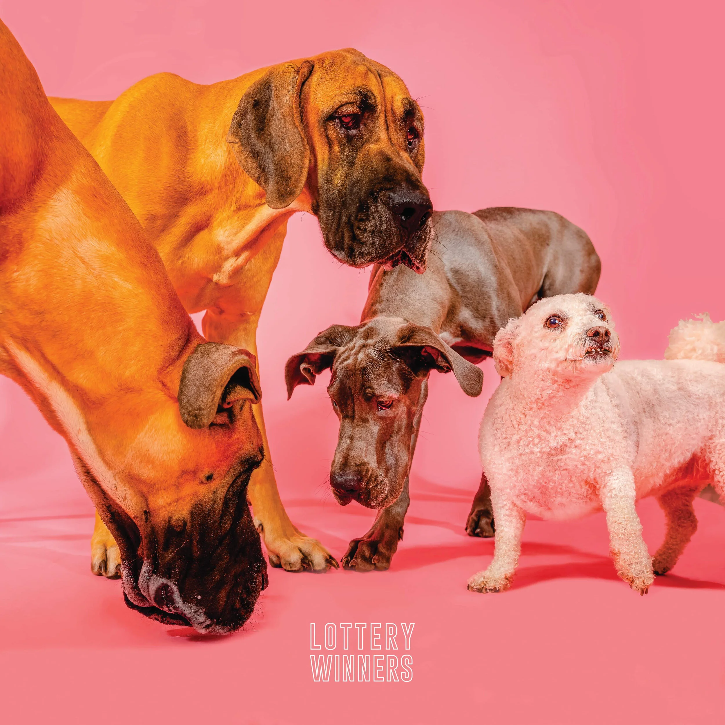 Album Review: The Lottery Winners - 'The Lottery Winners'