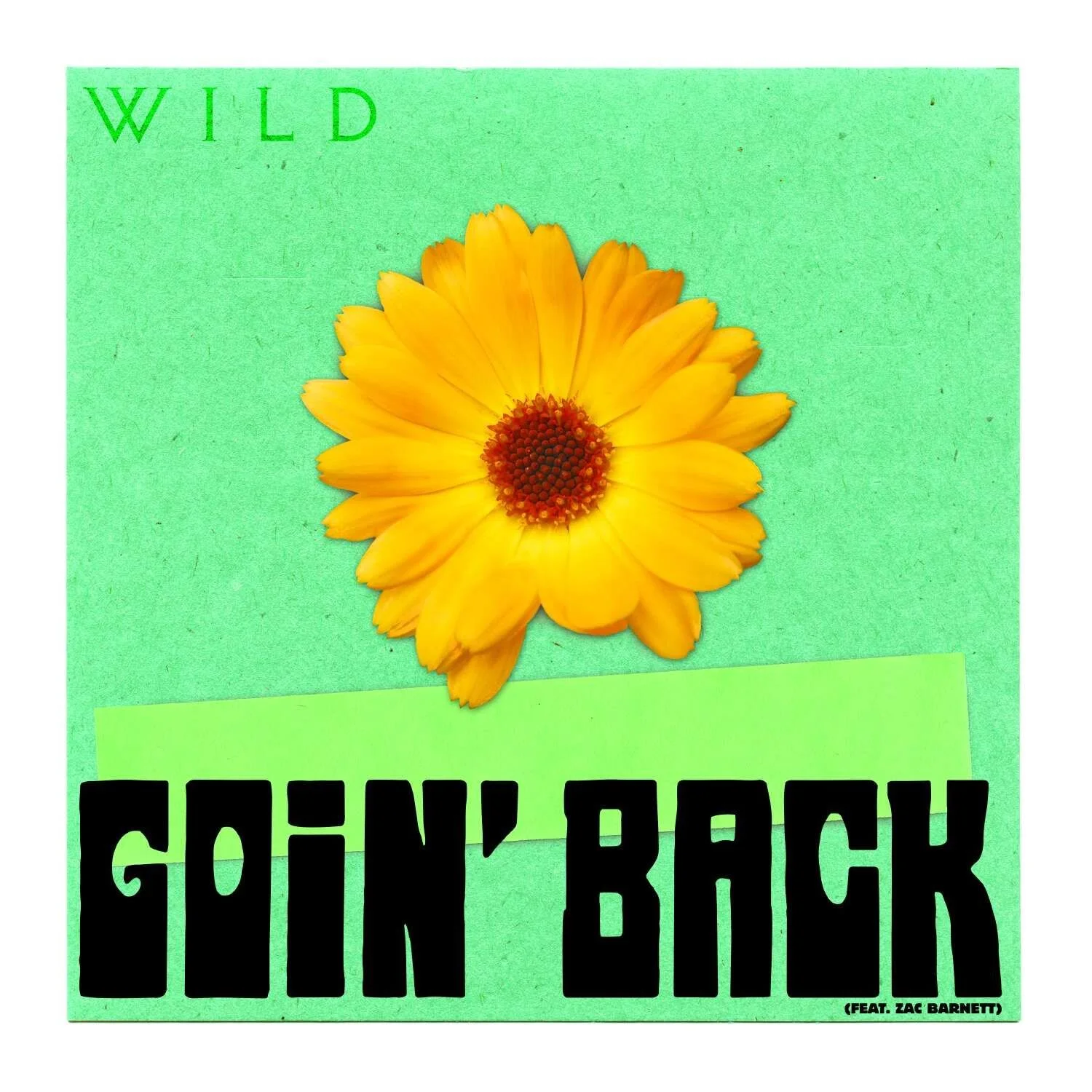 WILD - 'Goin’ Back' (feat. Zac Barnett)