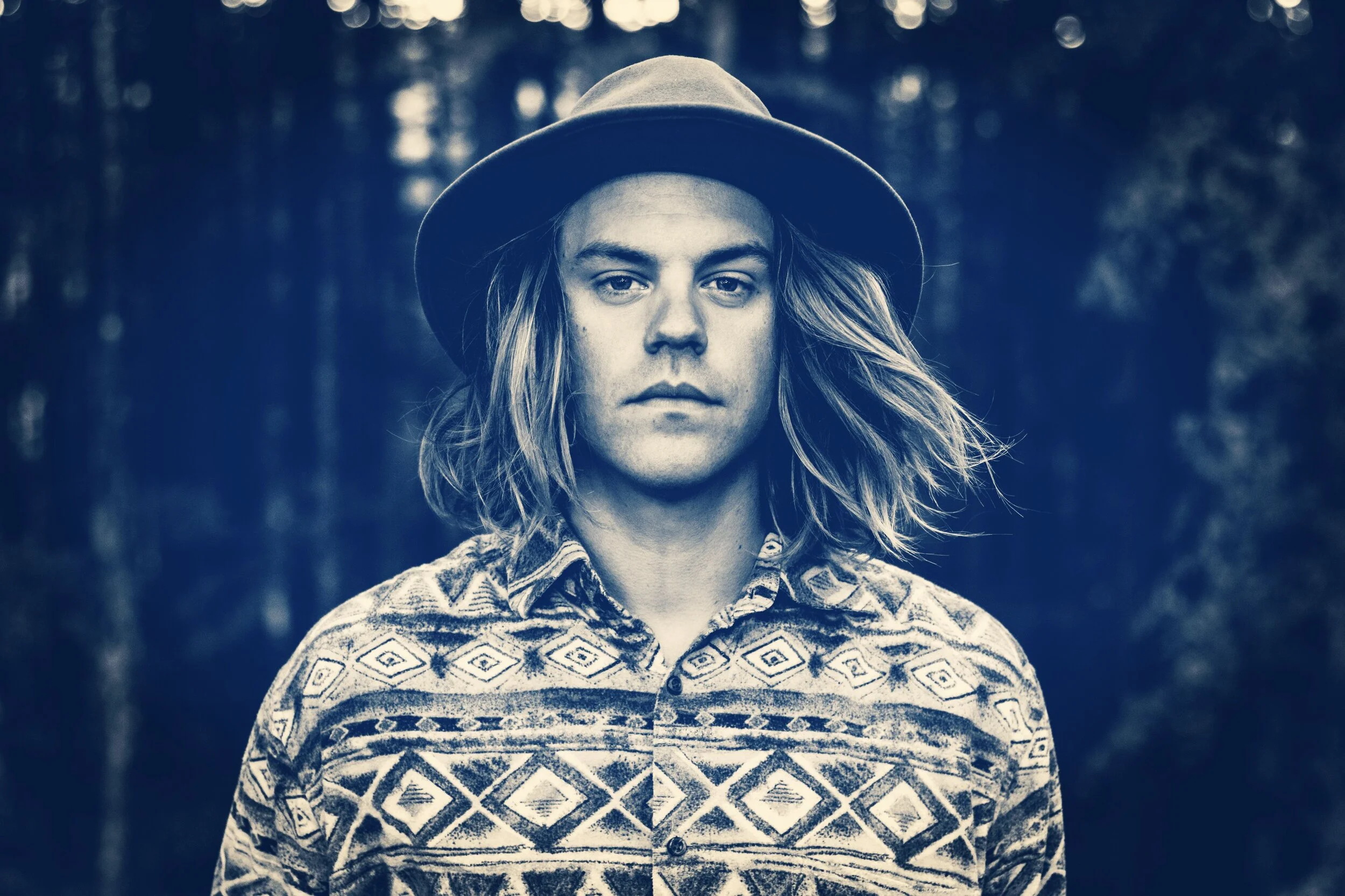 Land of Trees - 'Stretching for the Sky'