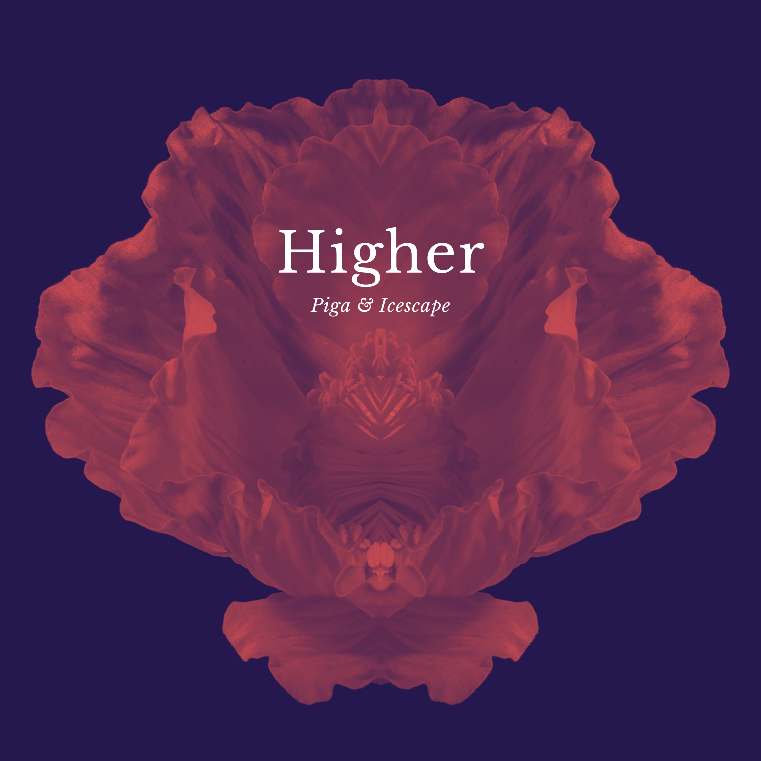 Piga x Icescape - ‘Higher’