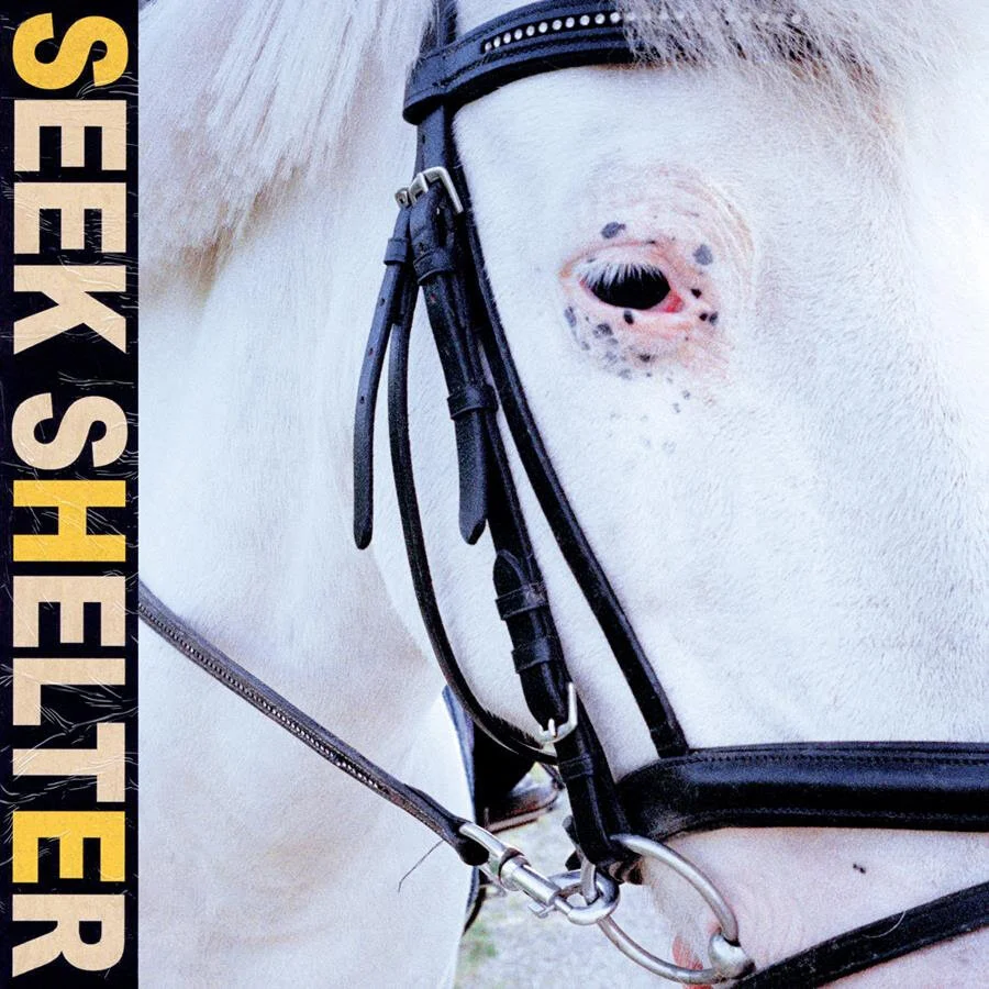 Album Review: Iceage - 'Seek Shelter'
