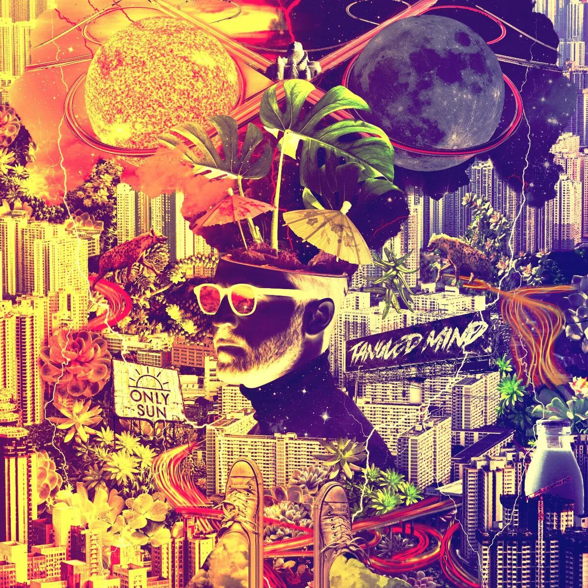 Album Review: Only Sun - 'Tangled Mind'
