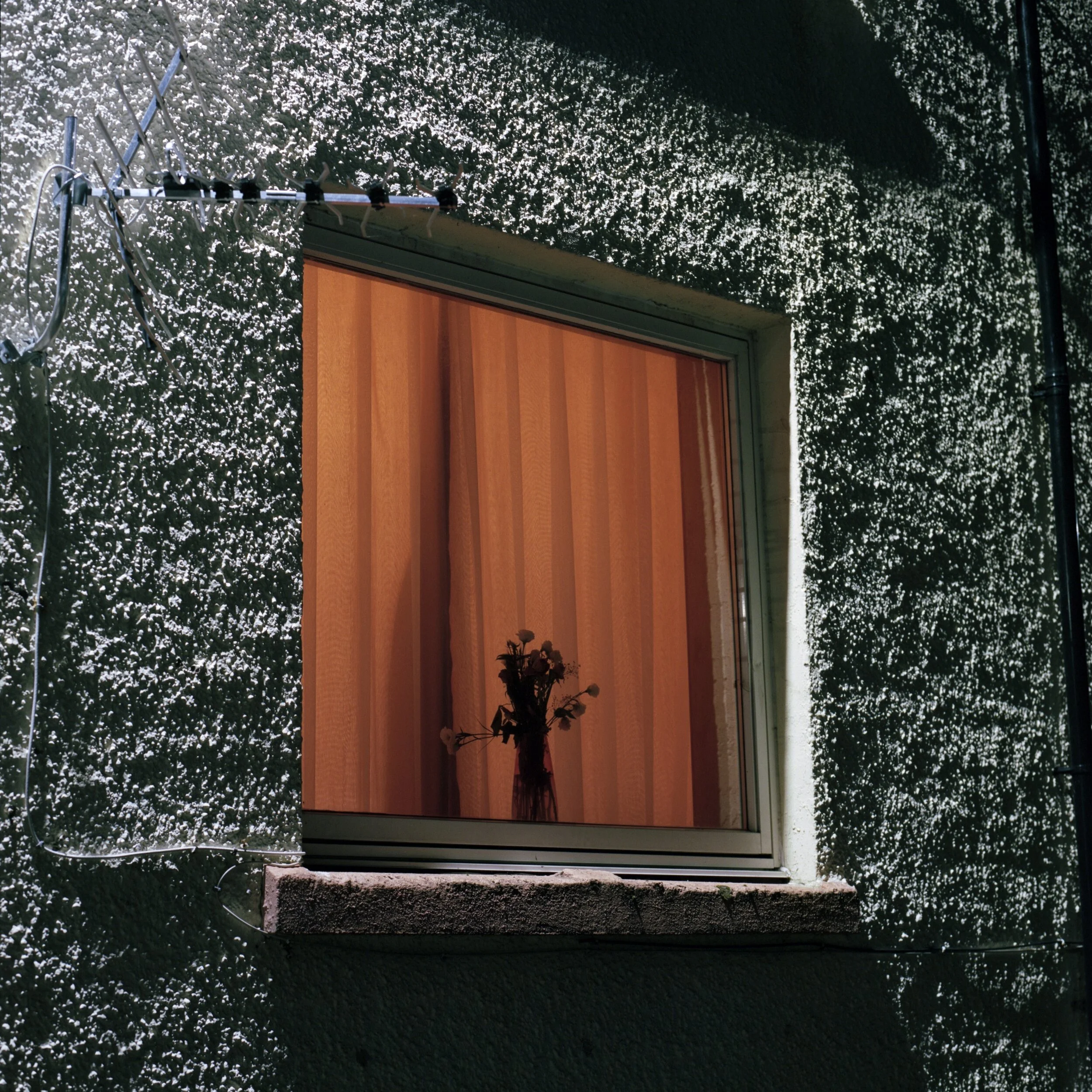 Album Review: Wyldest - 'Monthly Friend'