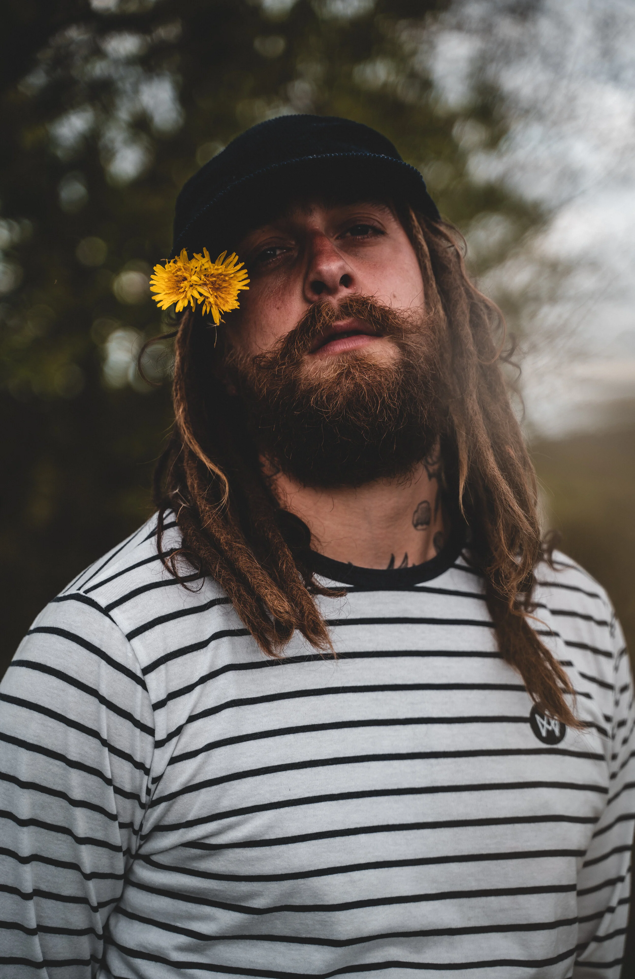 Inspired #273 - DandelionJames