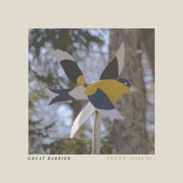 Great Barrier - 'Prune (Here On)'