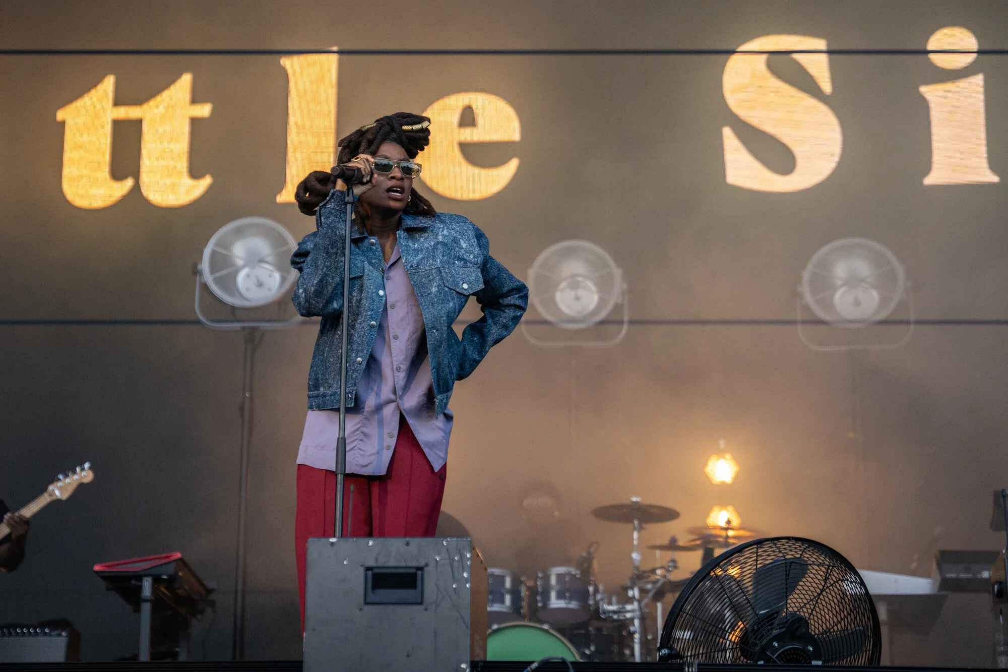 LITTLE_SIMZ_2072.jpg