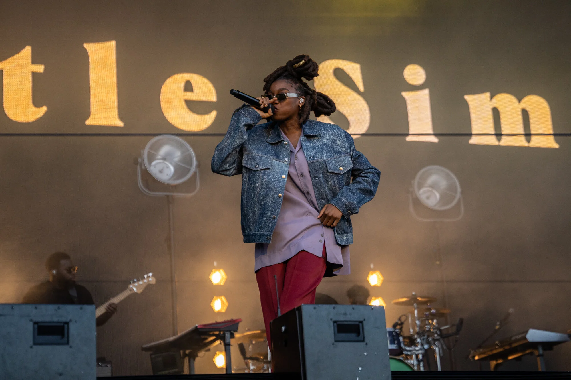 LITTLE_SIMZ_2170.jpg