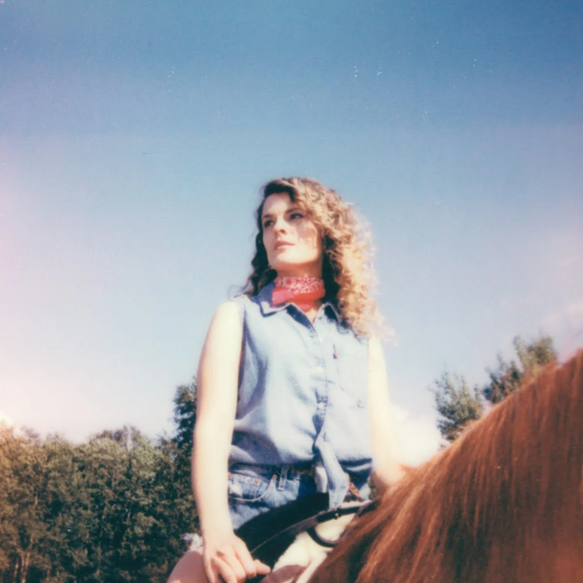 Inspired #351 - Tilde