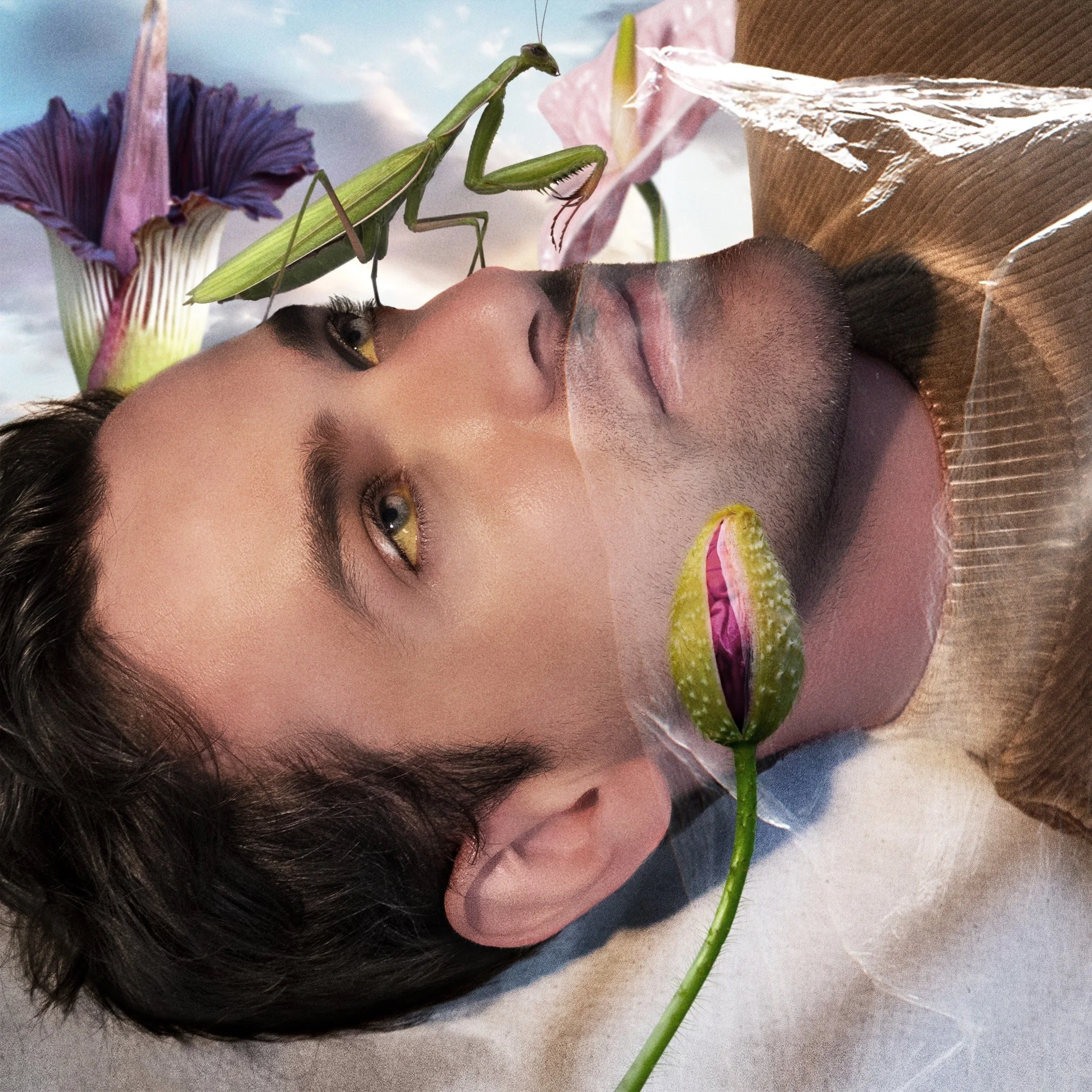 Josef Salvat - 'Promiscuity'