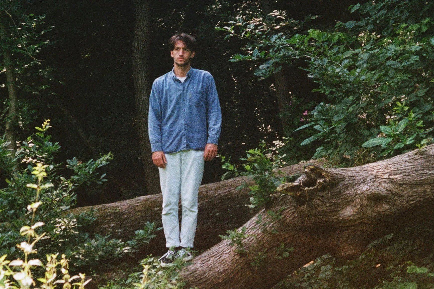 Far Caspian - 'Sun Room’
