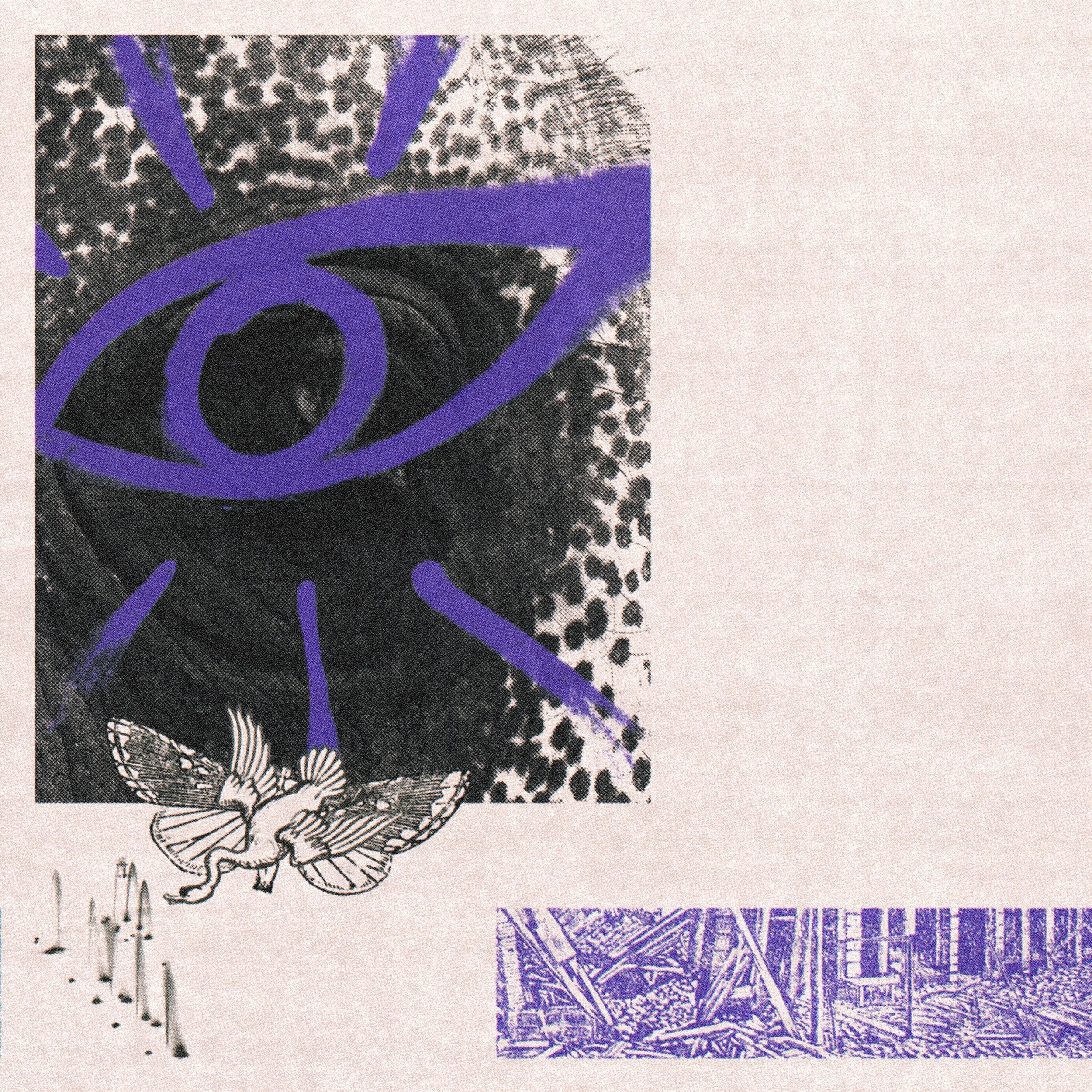Album Review: Hippo Campus - 'LP3'