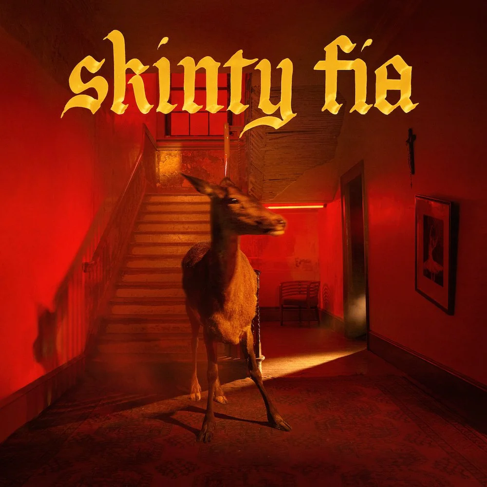 Album Review: Fontaines D.C - Skinty Fia