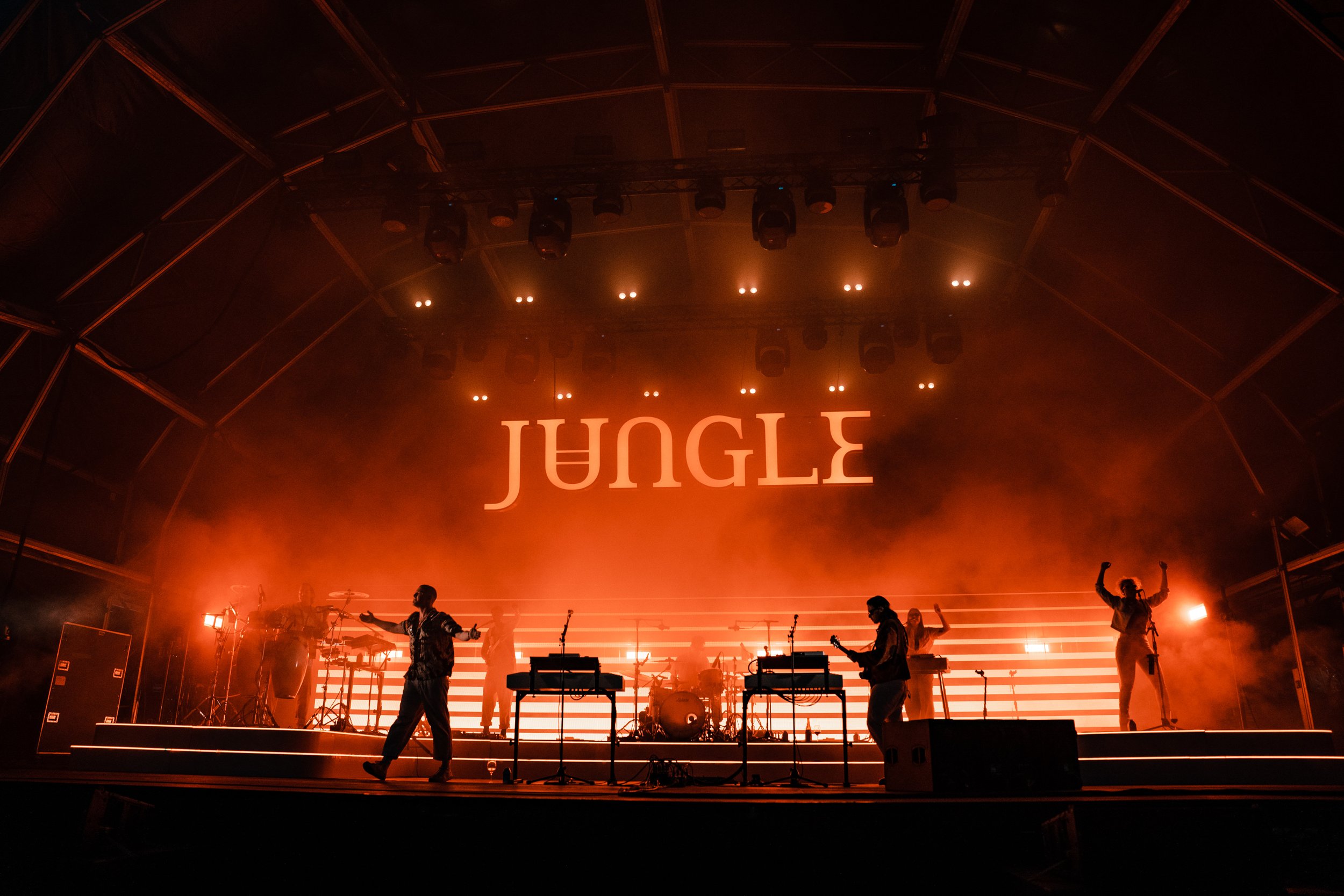Jungle-07743.jpg