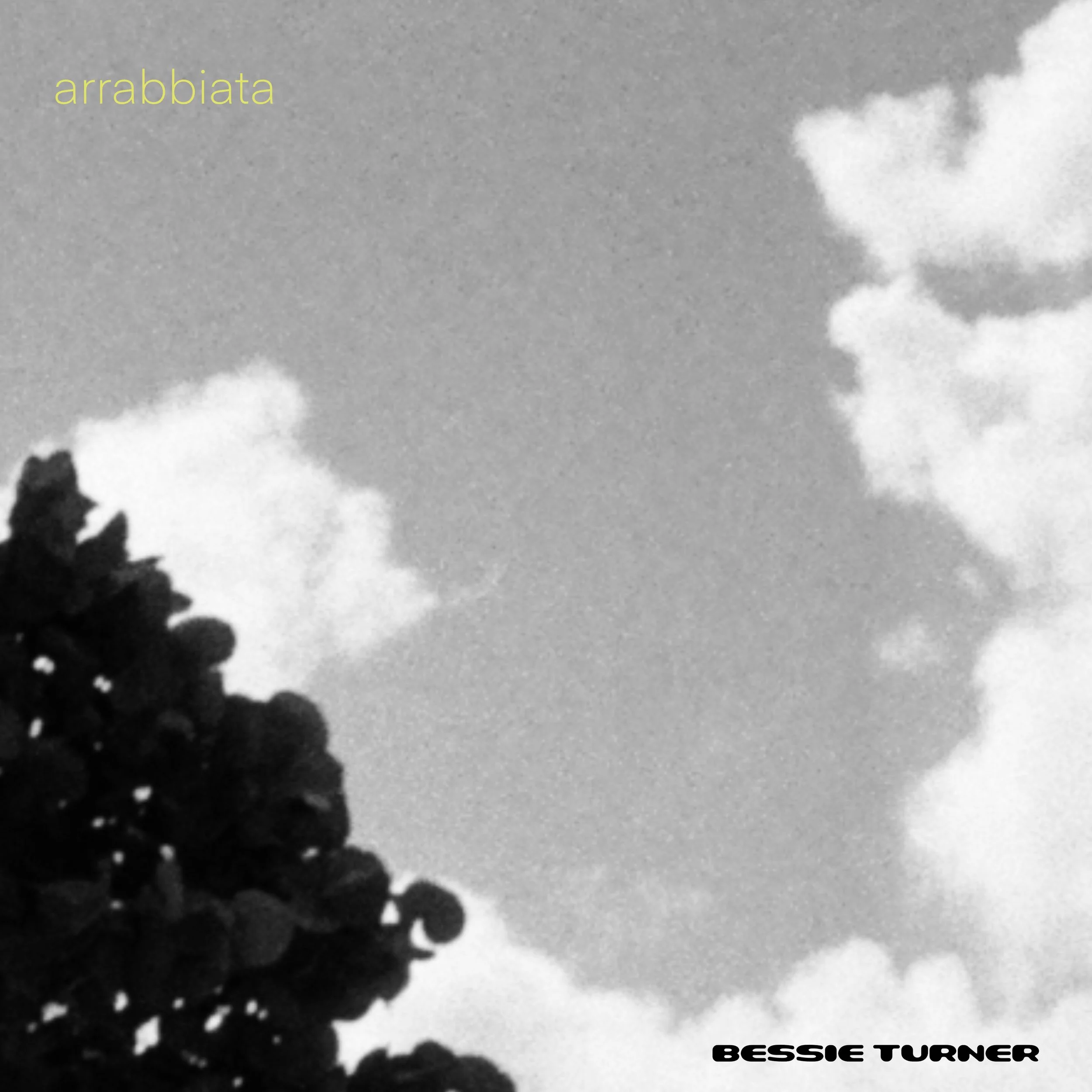 Mixtape Review: Bessie Turner - 'arrabbiata'