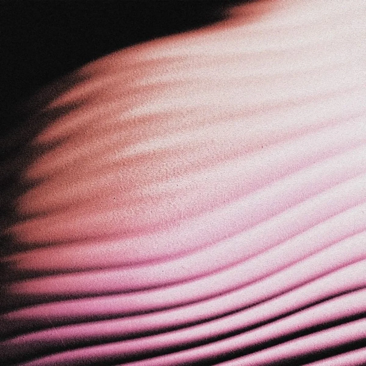 Album Review: Polar - 'Everywhere, Everything'