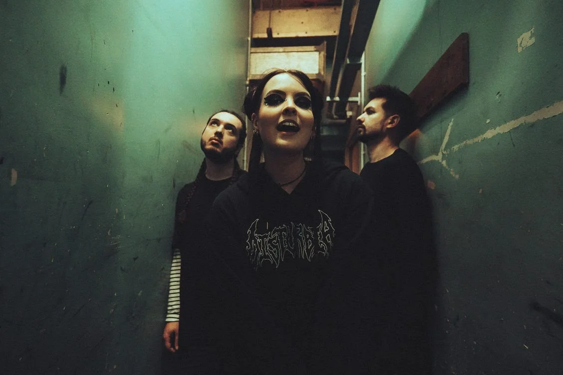 As December Falls - 'Alive'