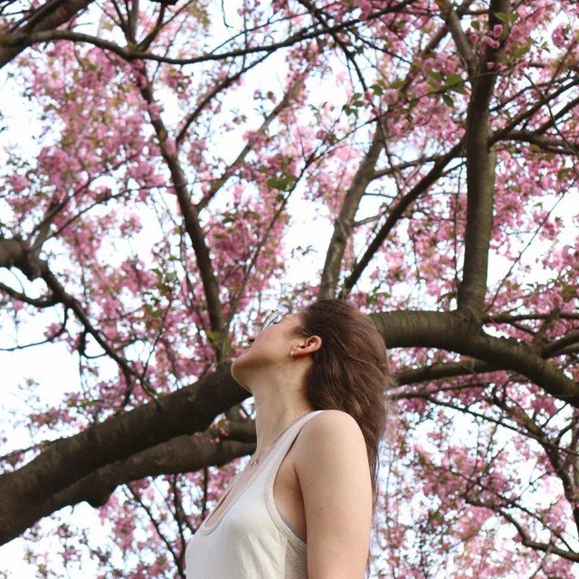 Belle Shea - 'pink moon rising'