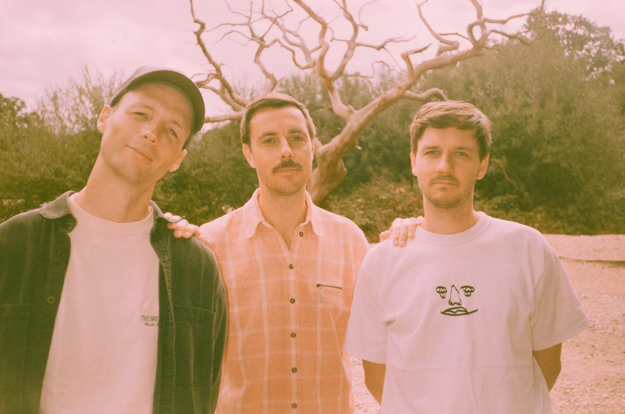 Wicketkeeper - 'Backwards Again'